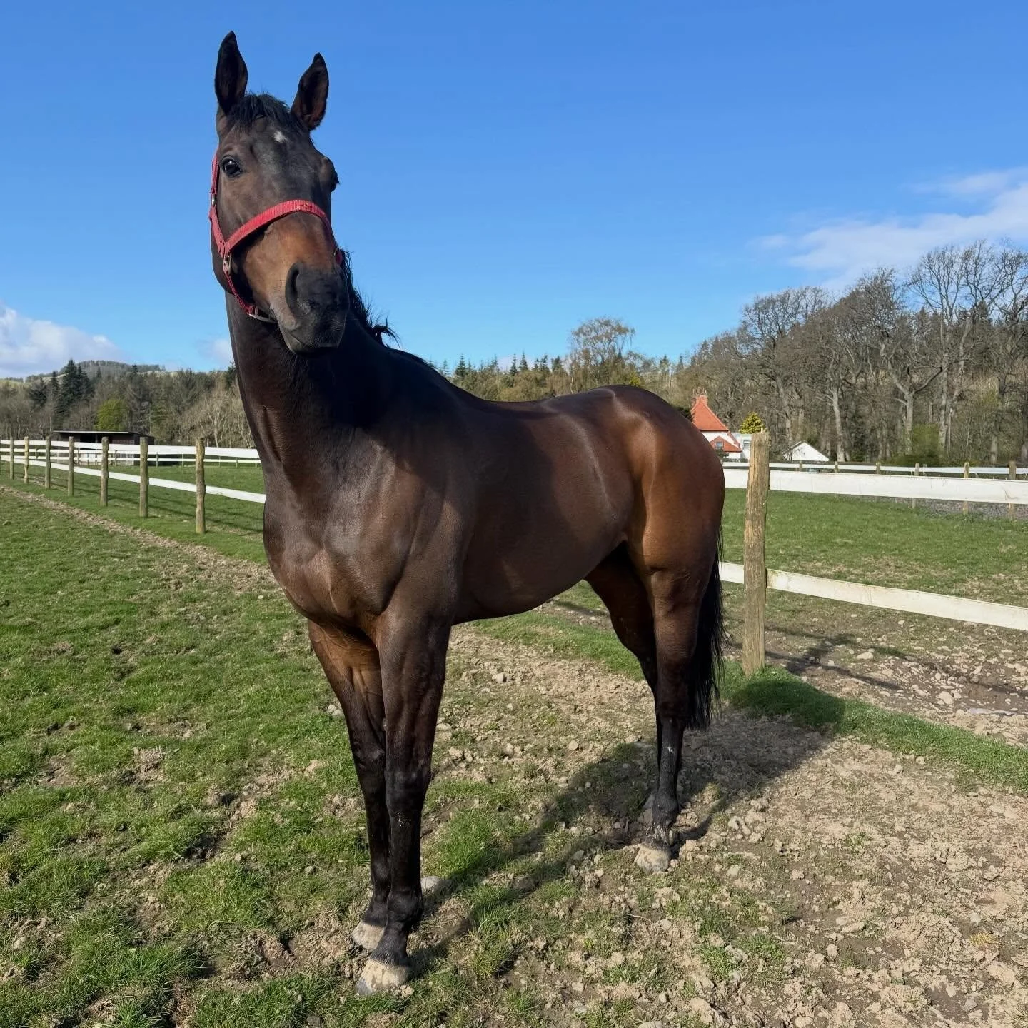 Concert Boy looking amazing on his spring holidays ☀️ 

@makingheadwayracing_