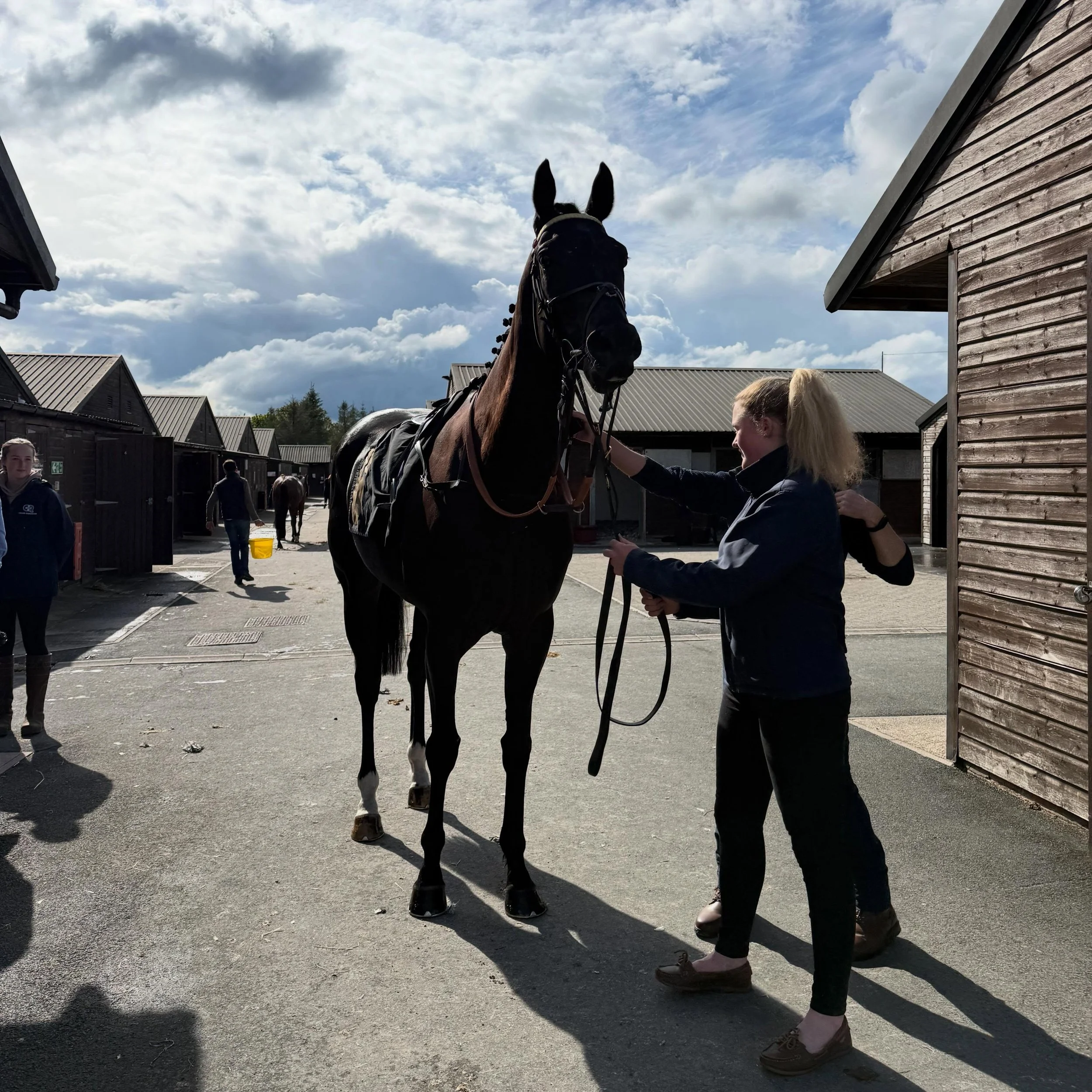Black Storm looking great before a lovely 4th at a very soggy Carlisle ☔️

@ursamajorracing 💕💛