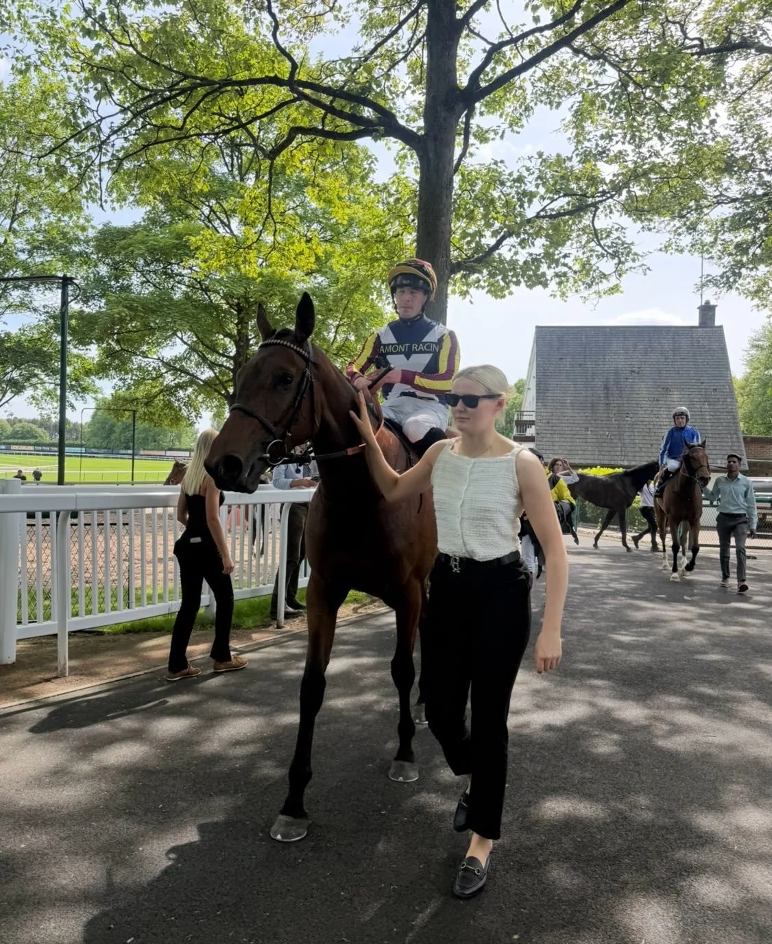 Today @haydockparkracecourse 

Aurora Valkyrie 8th
Figjam 4th

Another tough run from the ever consistent Figjam to claim 4th in the prestigious Cecil Frail Stakes.

Lots learned on Aurora&rsquo;s first day out &amp; she will sleep well tonight. 

We