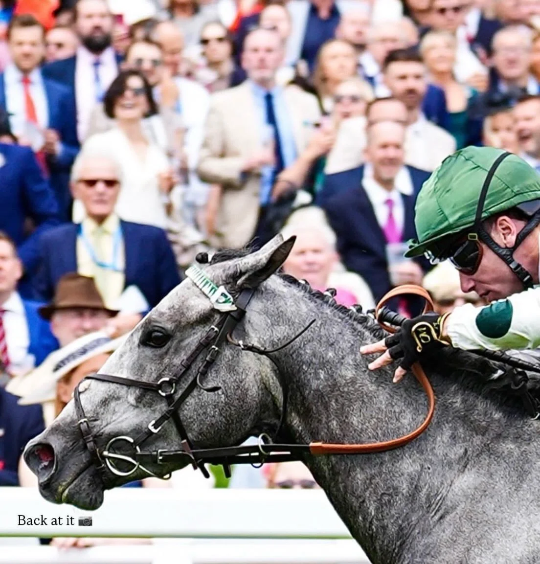 WINNER

Our biggest winner to date with the speedy Naana&rsquo;s Shadow winning the 3yo Dash at The Epsom Derby Meeting under a class ride from Oisin. 

Well done to her owners Summerstorm Bloodstock and @five_star_racing_ 

Very well bought by Steph
