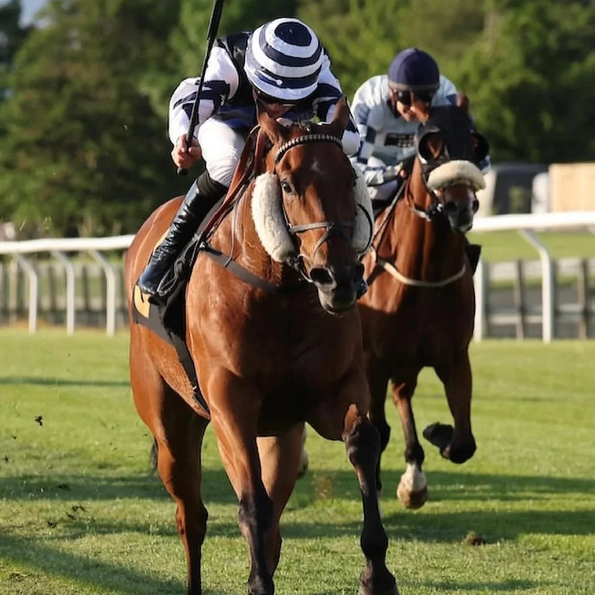 Winners (Not Seconds) — Katie Scott Racing