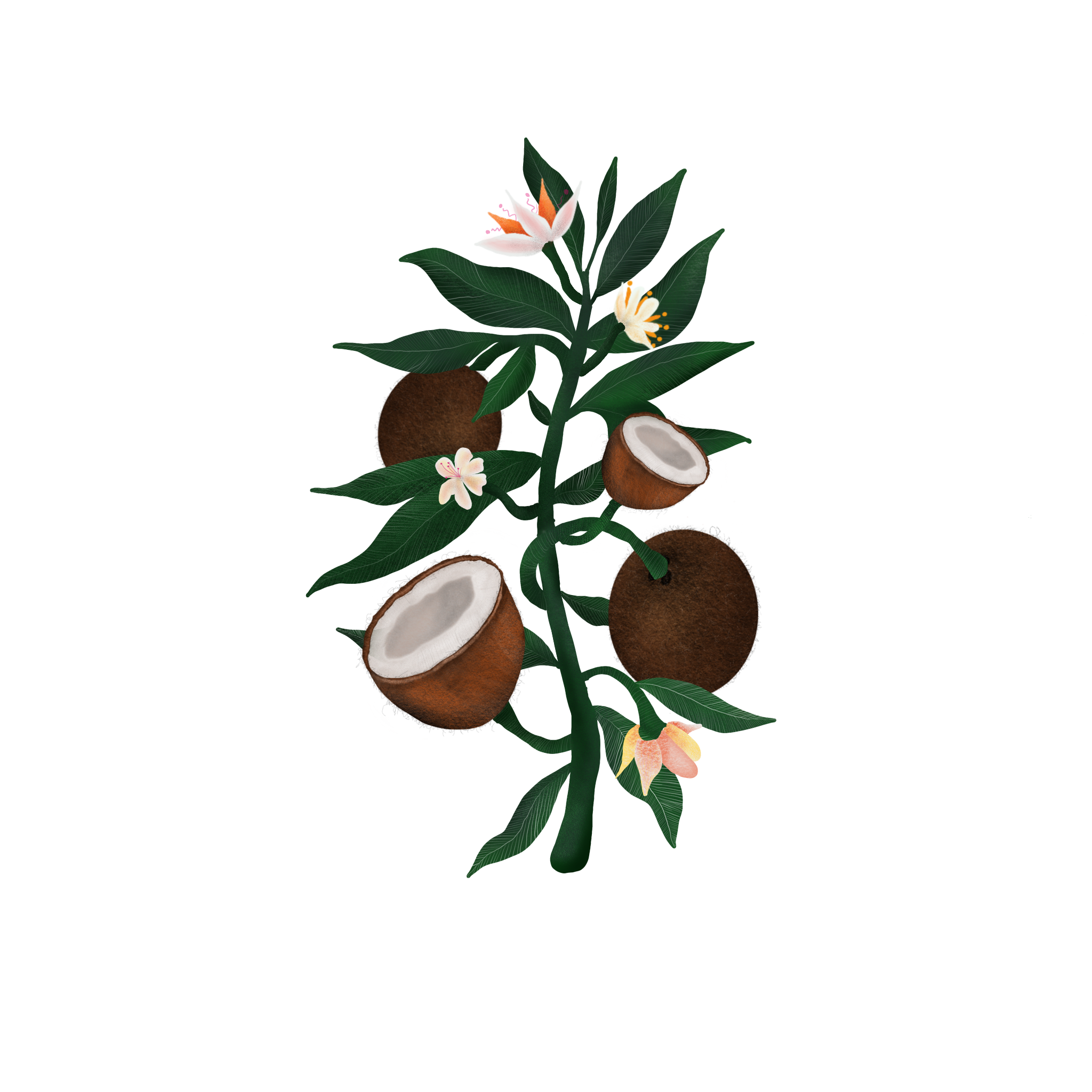 Untitled_Artwork copy 4.png