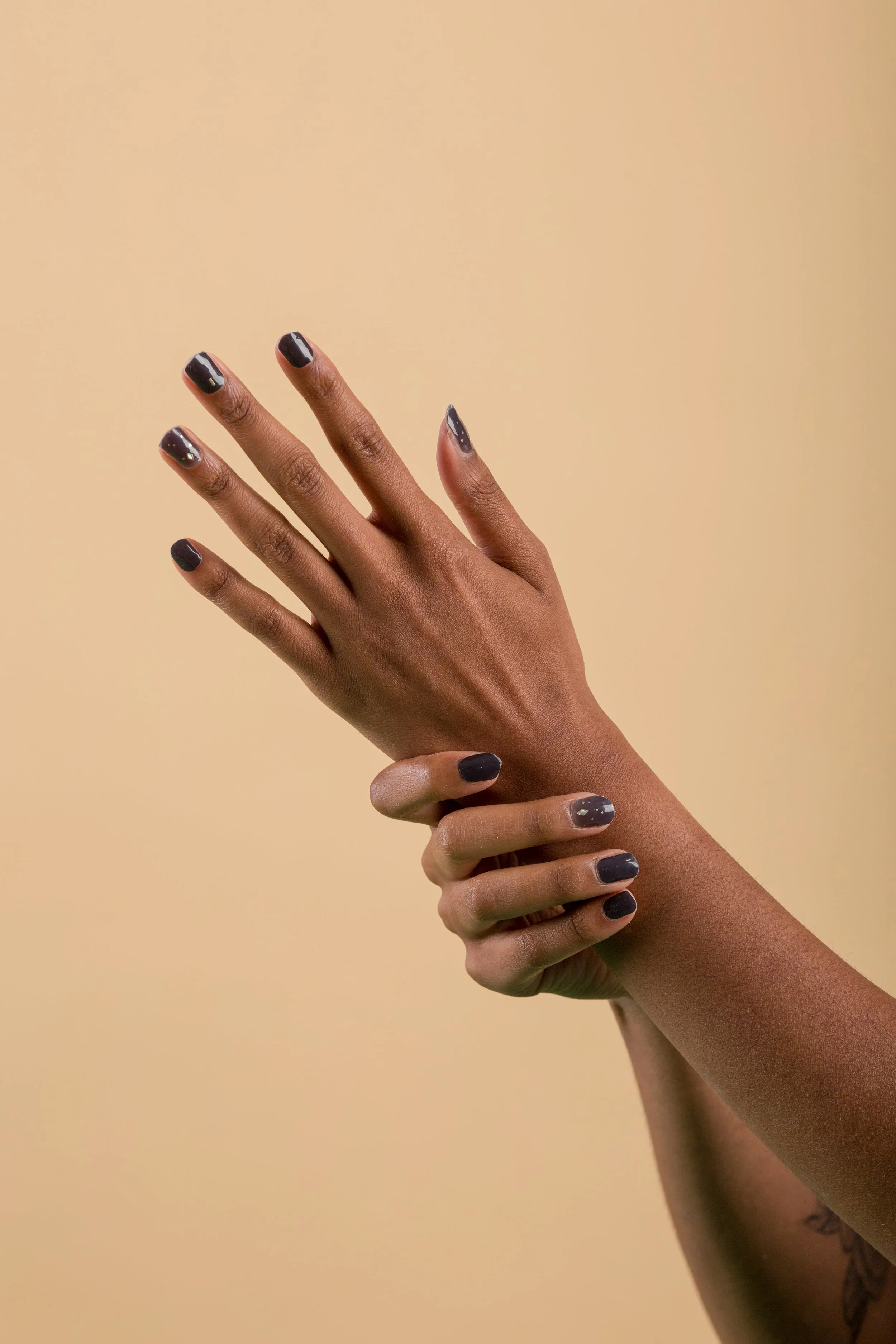 black swan 1 copy.jpg