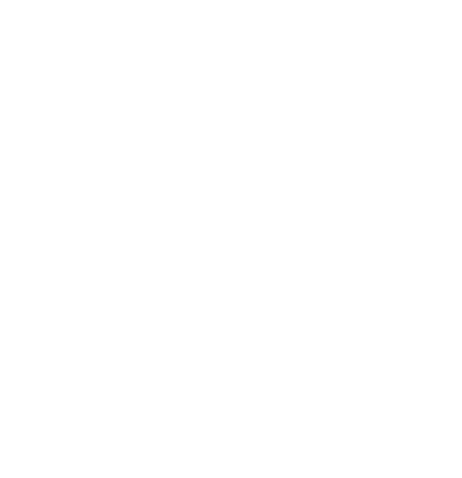Camp Joy