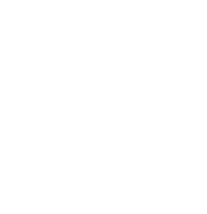 Camp Joy logo