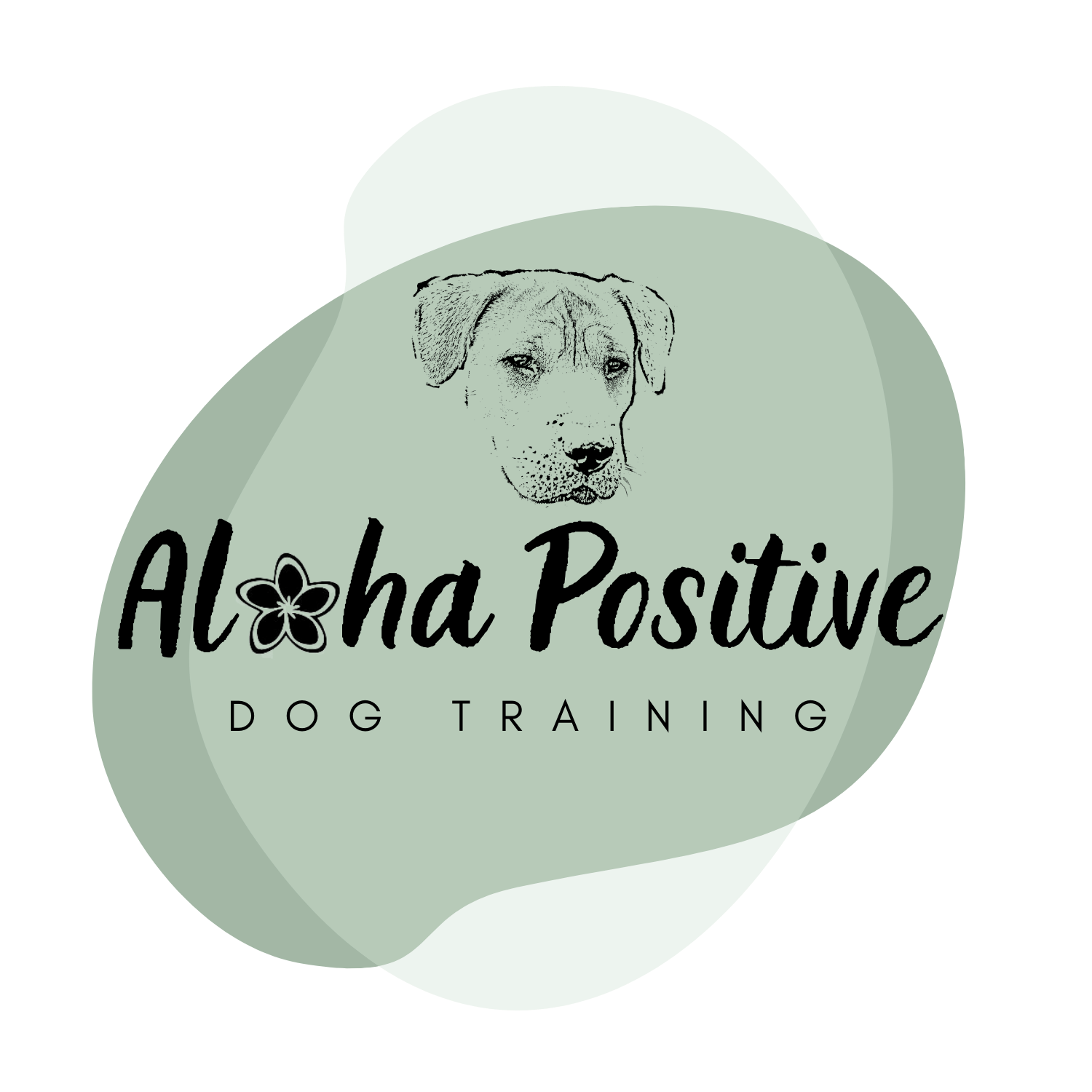 Aloha Positive Dog Training