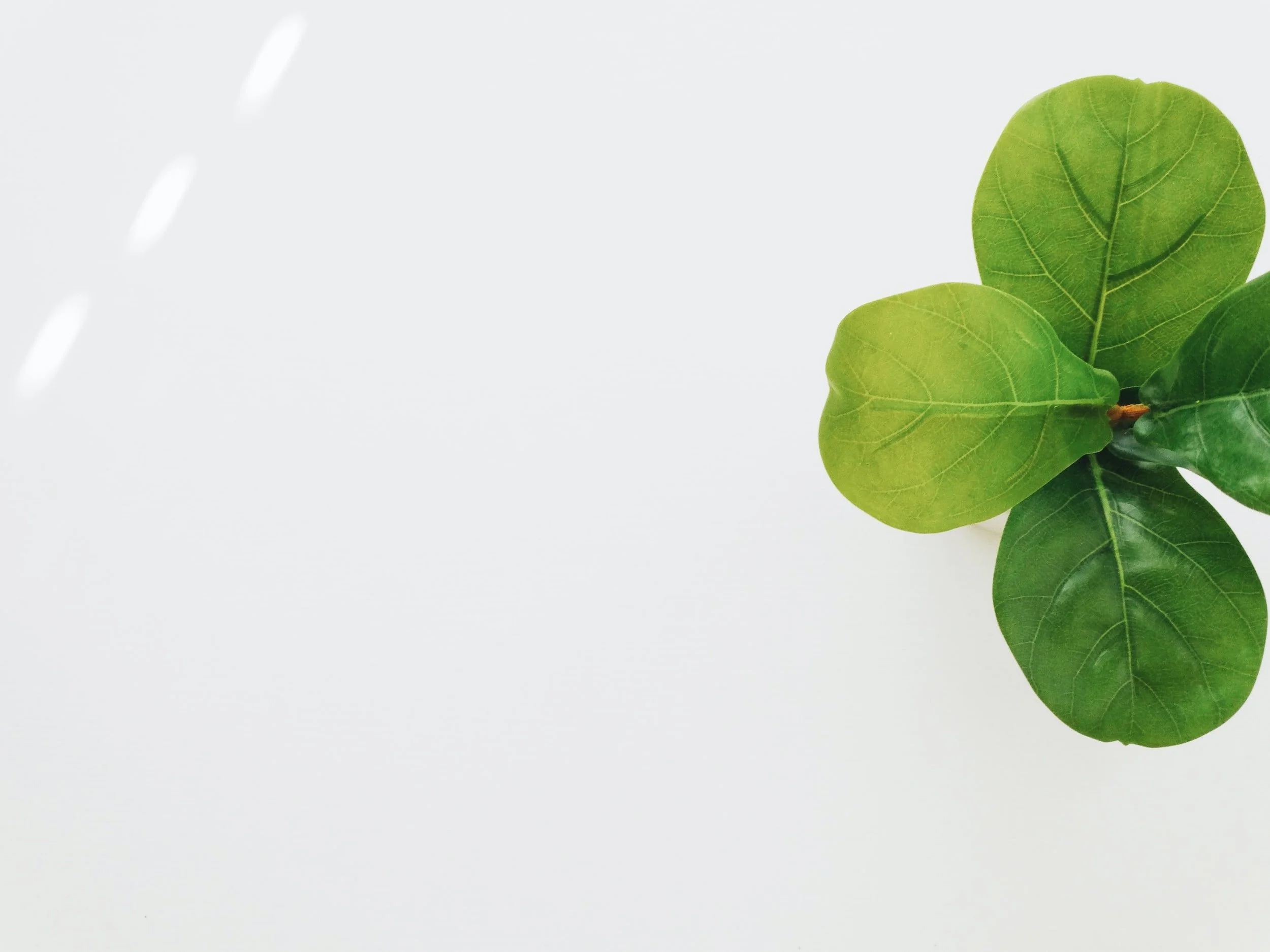 Maple Hill Baptist Church