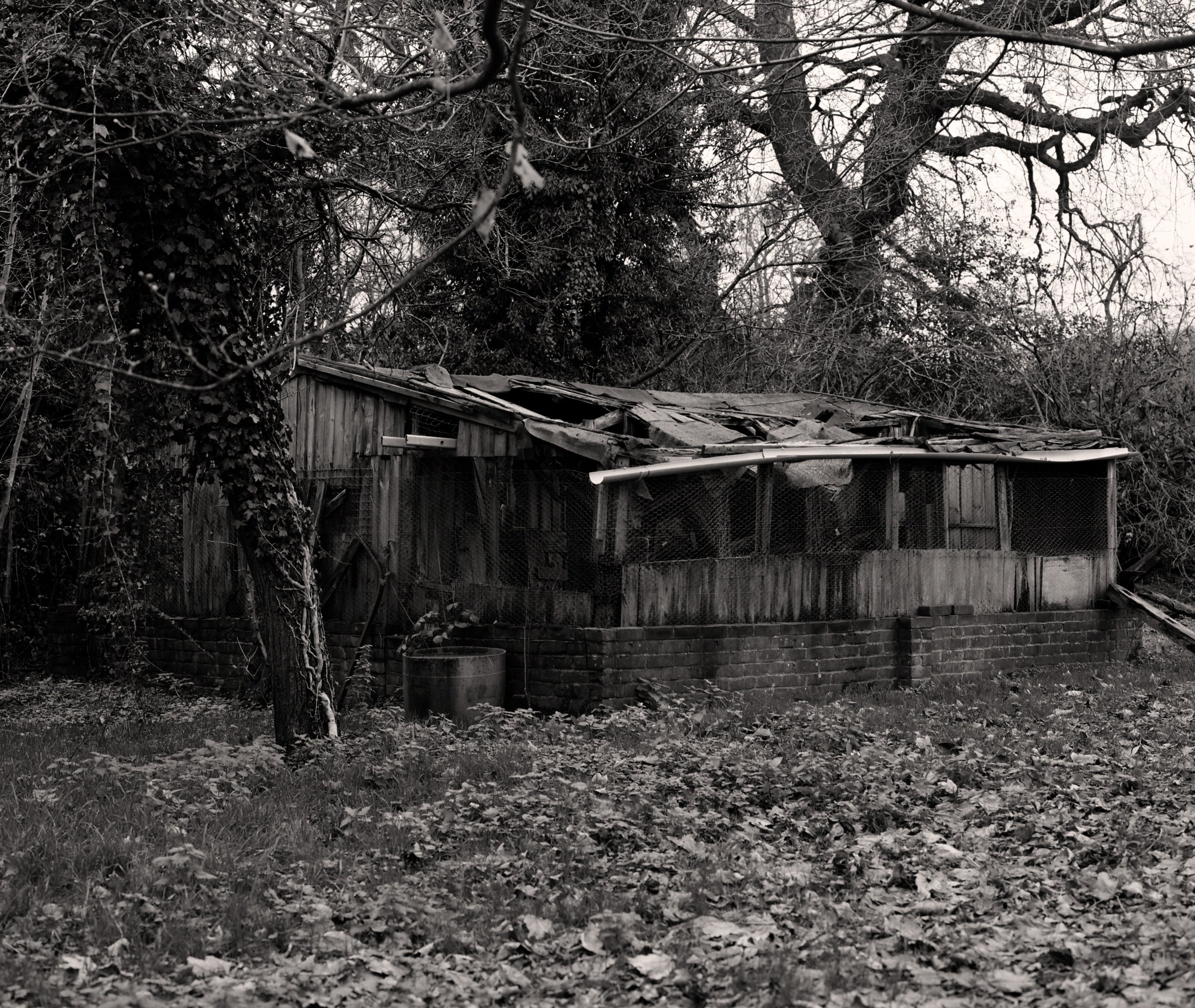 4Picture 021.jpg