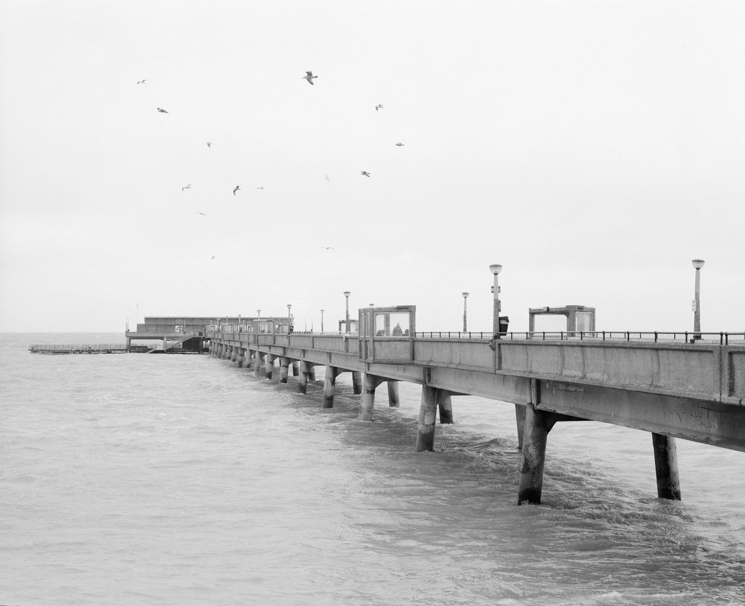 Picture 1 013 v2 B&W.jpg