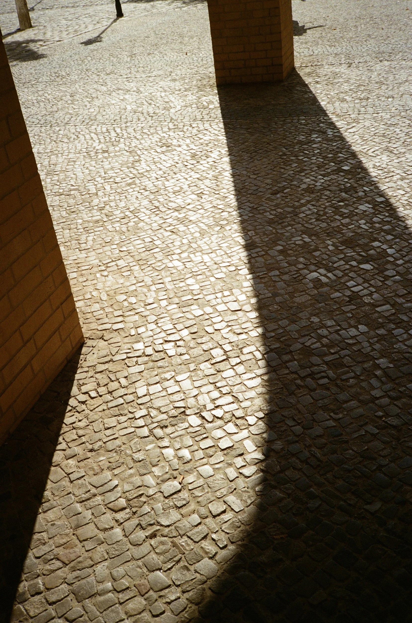 000108860010.jpg