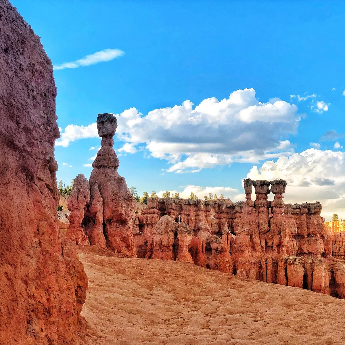 BRYCE CANYON BP 21.jpg