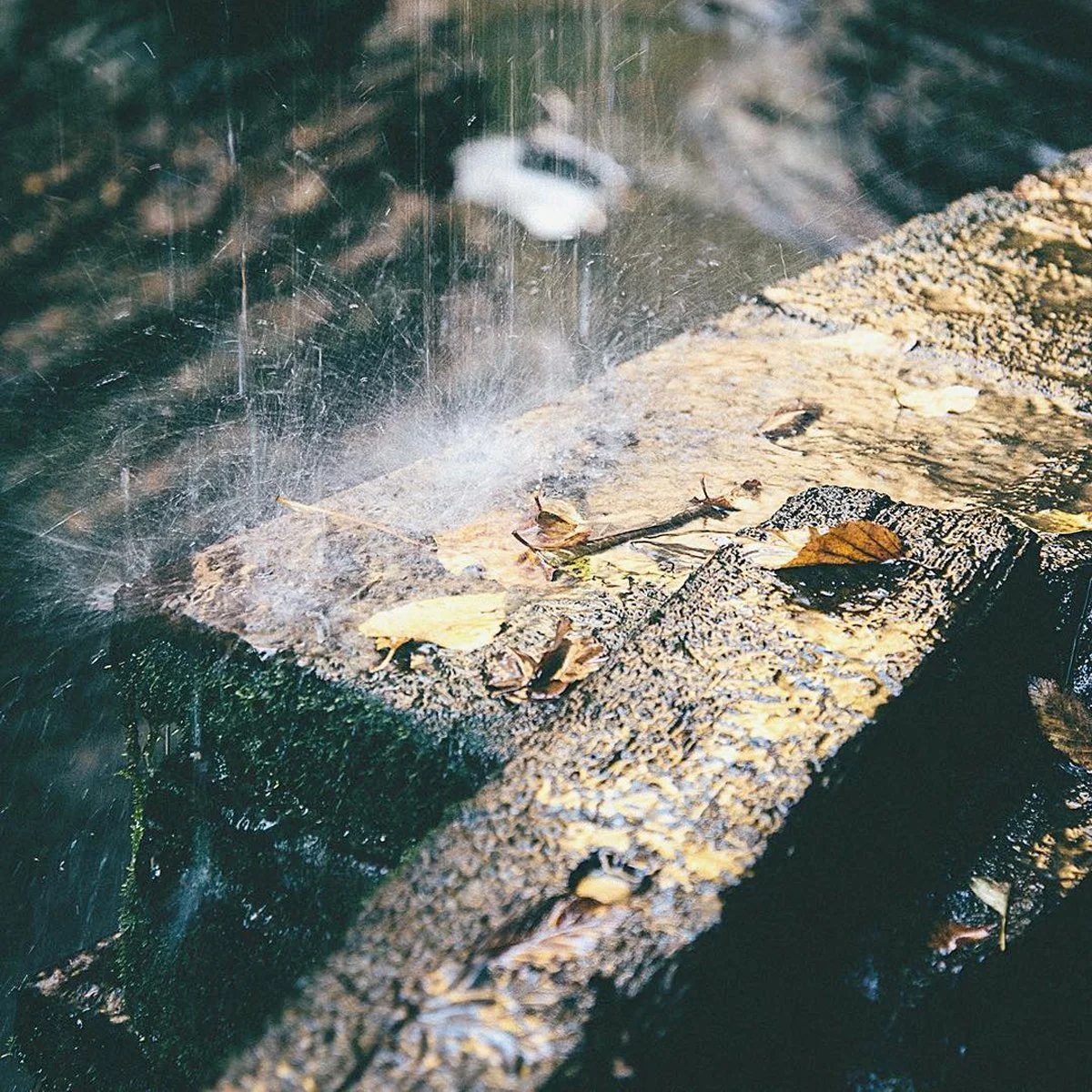 Watkins Glen