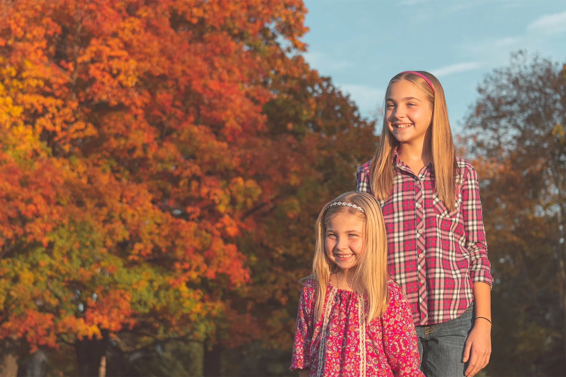 Autumn Beauties