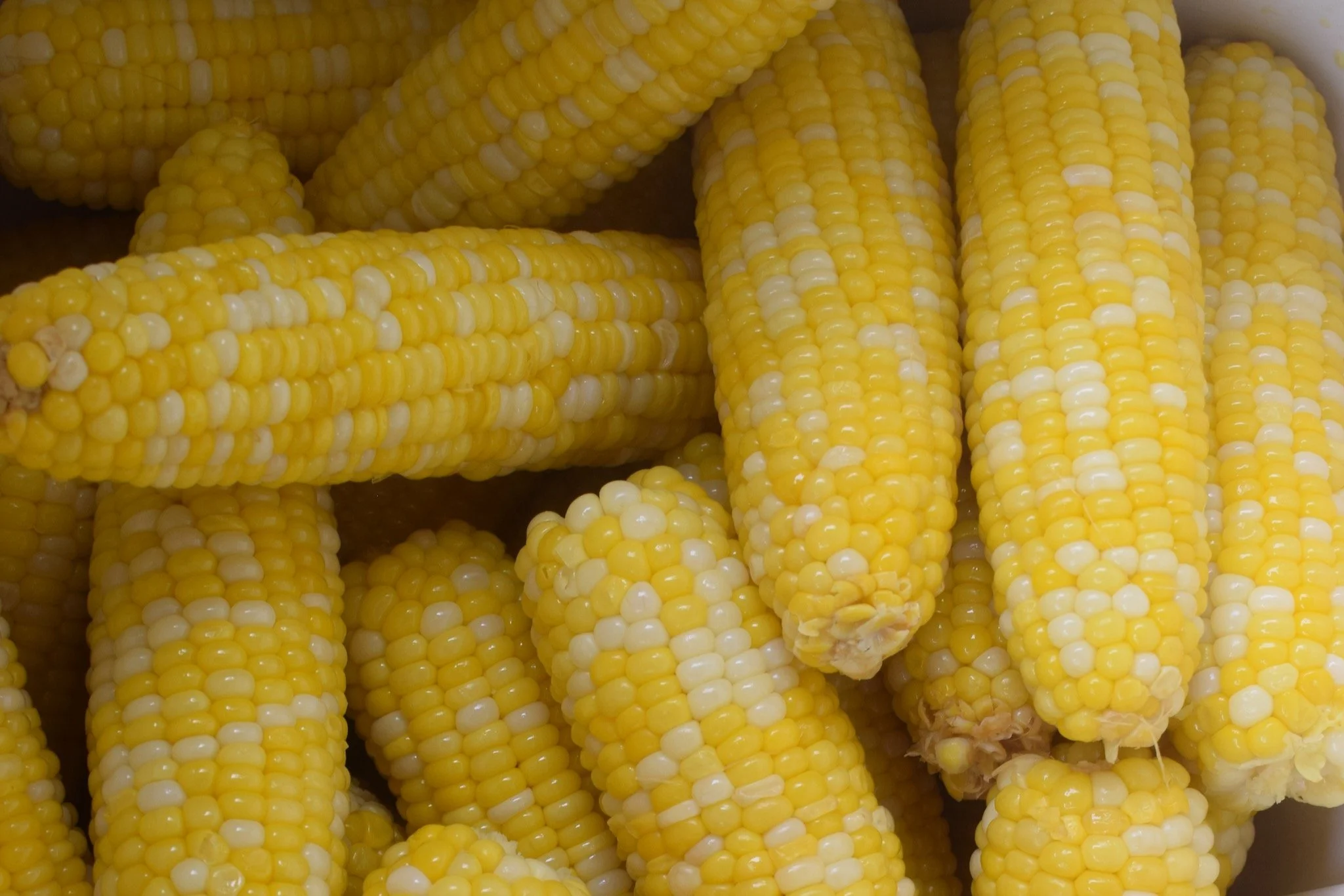 Louisiana Corn Festival โ Bunkie Chamber of Commerce