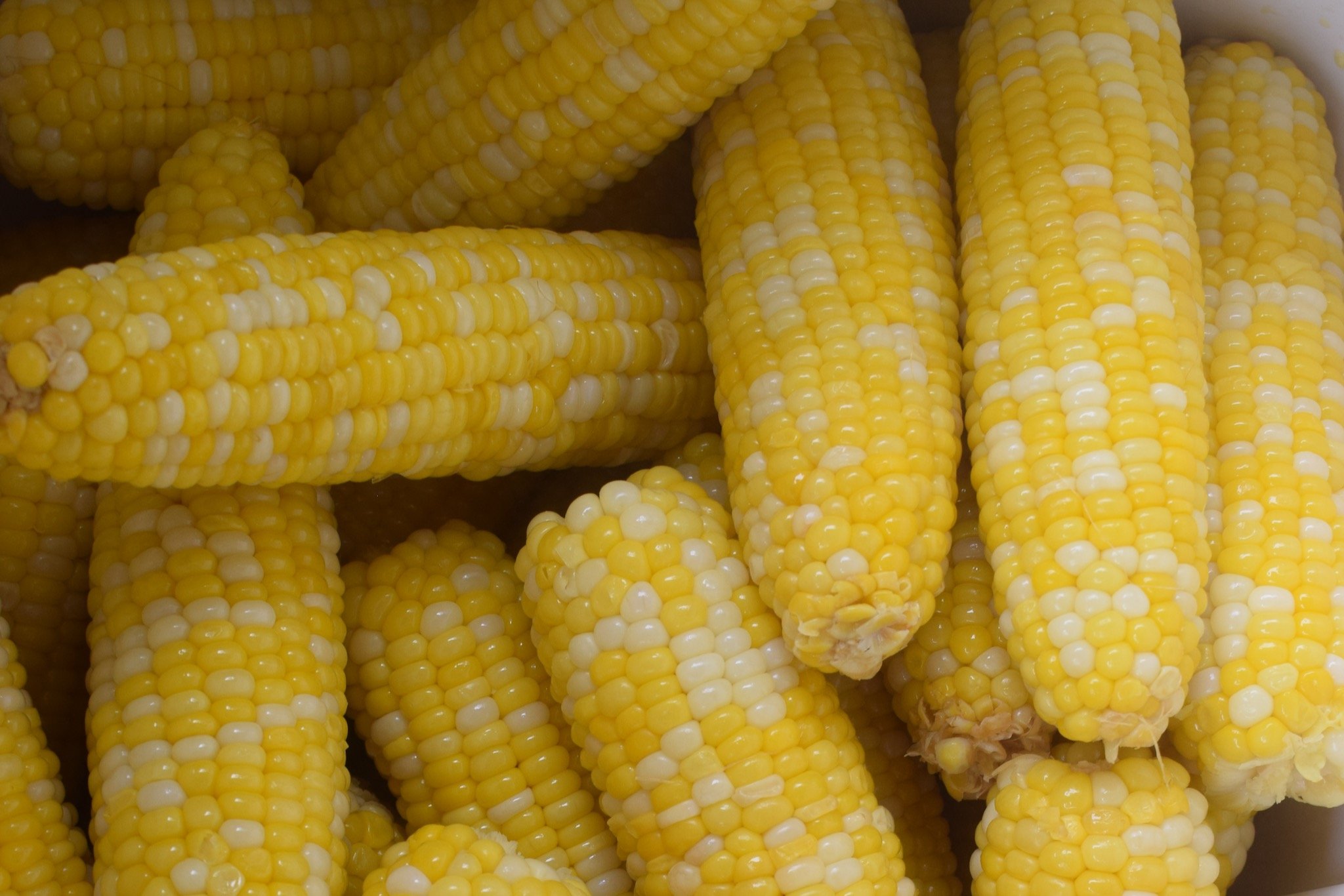 Louisiana Corn Festival — Bunkie Chamber of Commerce