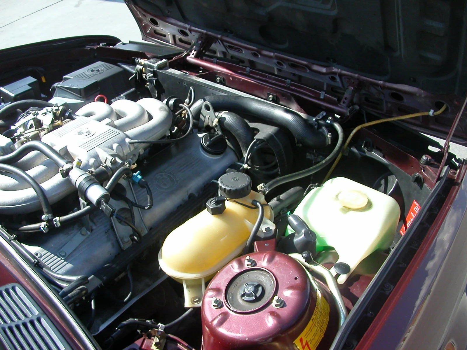 DSCN1426.jpg