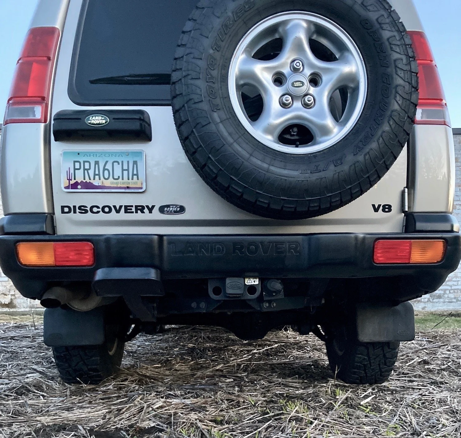 Rear Low.jpeg