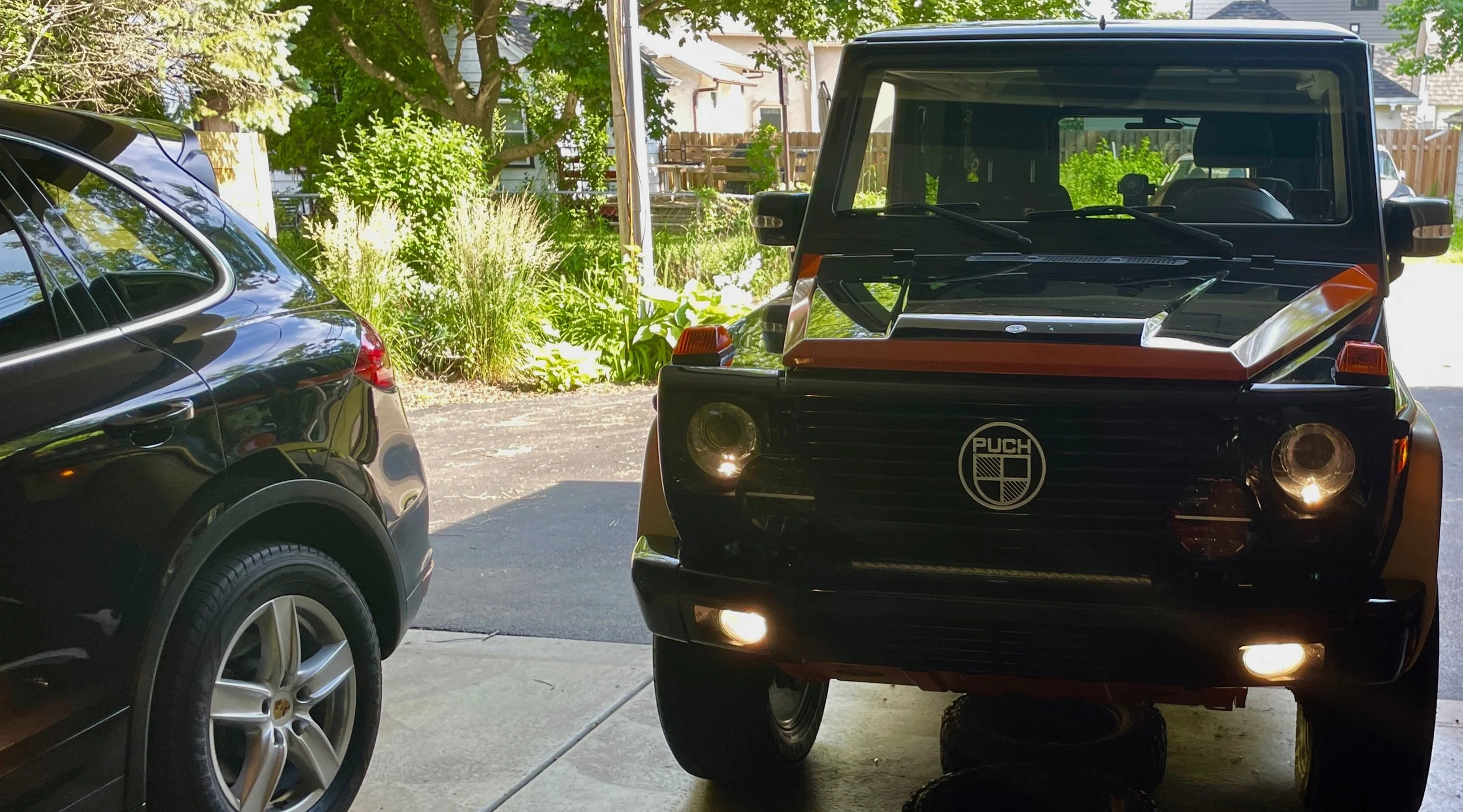 604 Park and Fog Light.jpeg