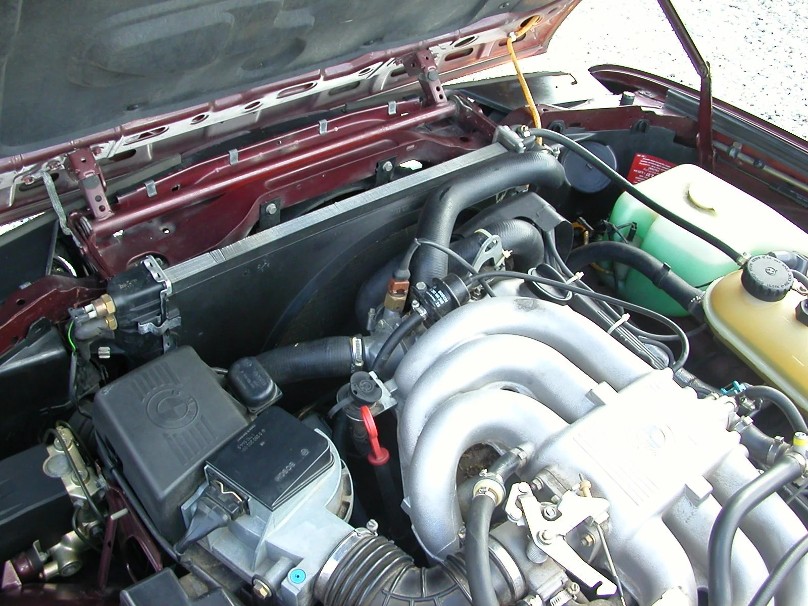 DSCN1464.jpg