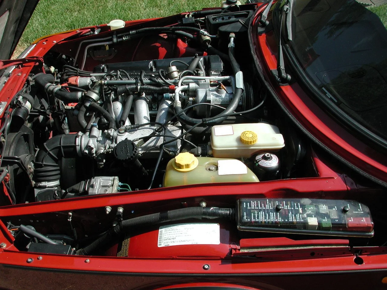 DSCN0393.jpg