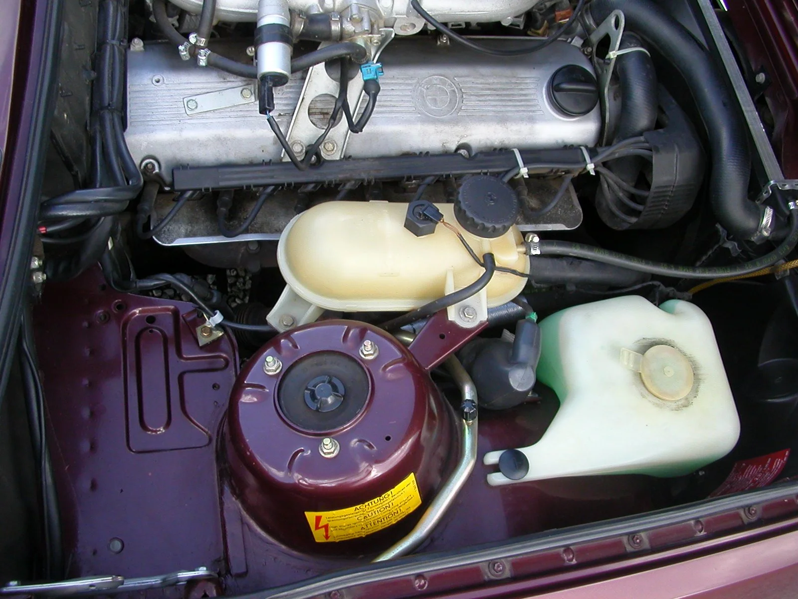 DSCN1462.jpg