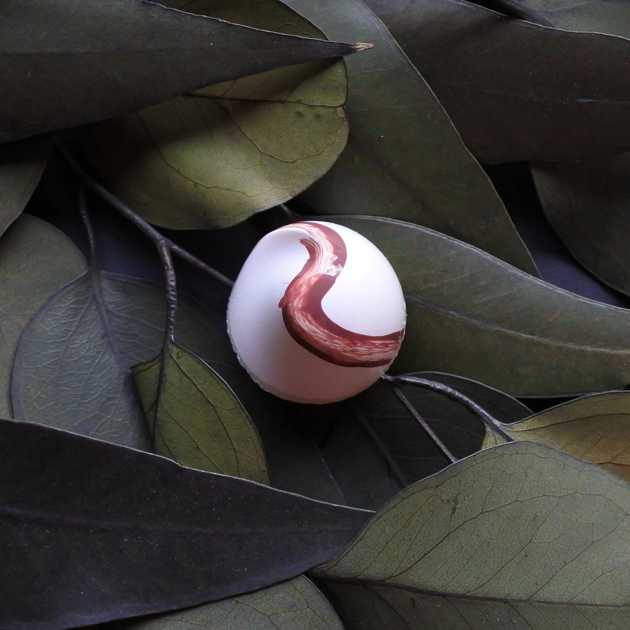 DSC_0999 - Champagne.jpg