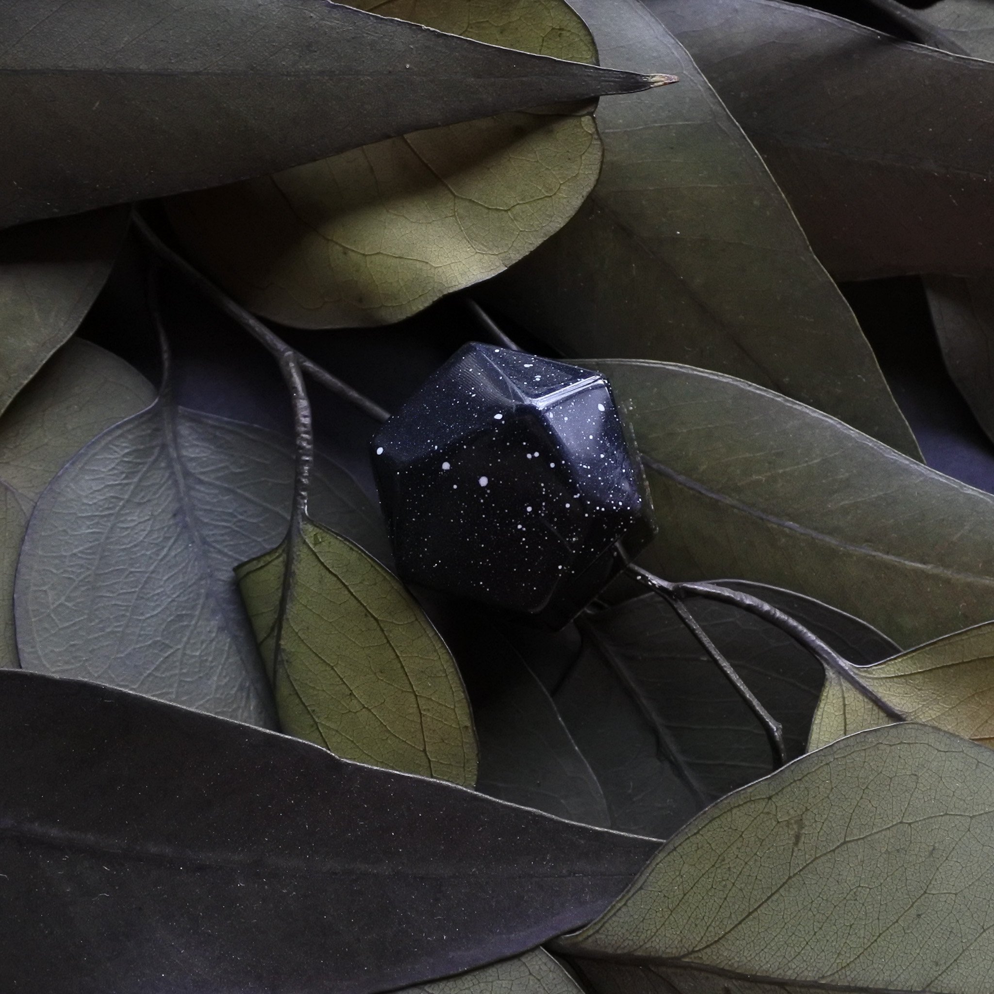 DSC_1001 - Sea Salt.jpg