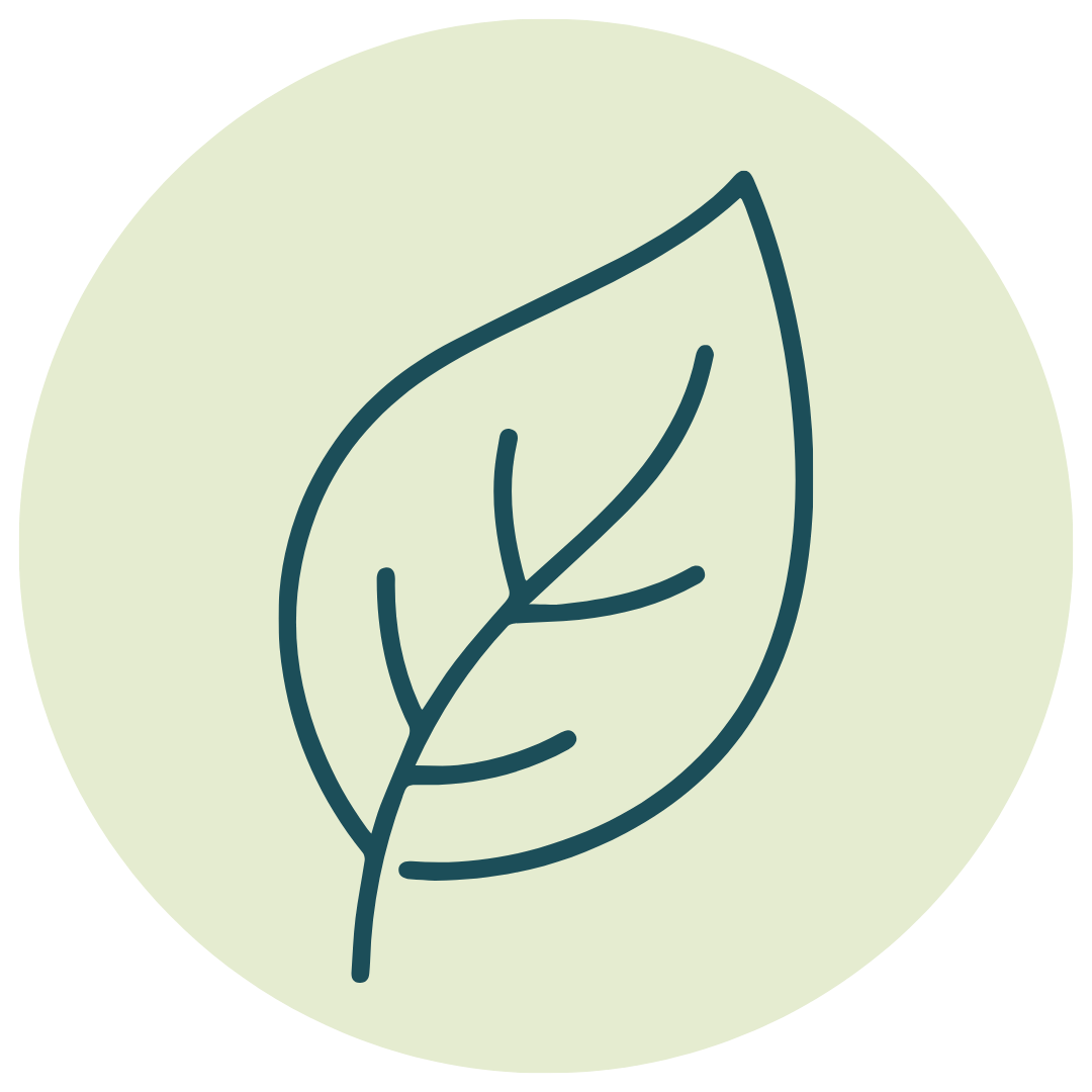 Navy drawn leaf with light green circle behind it.