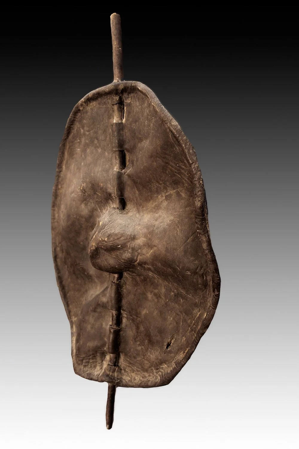 Dinka shield with boss in center used as handle grip.  www.gallerytribalart.com