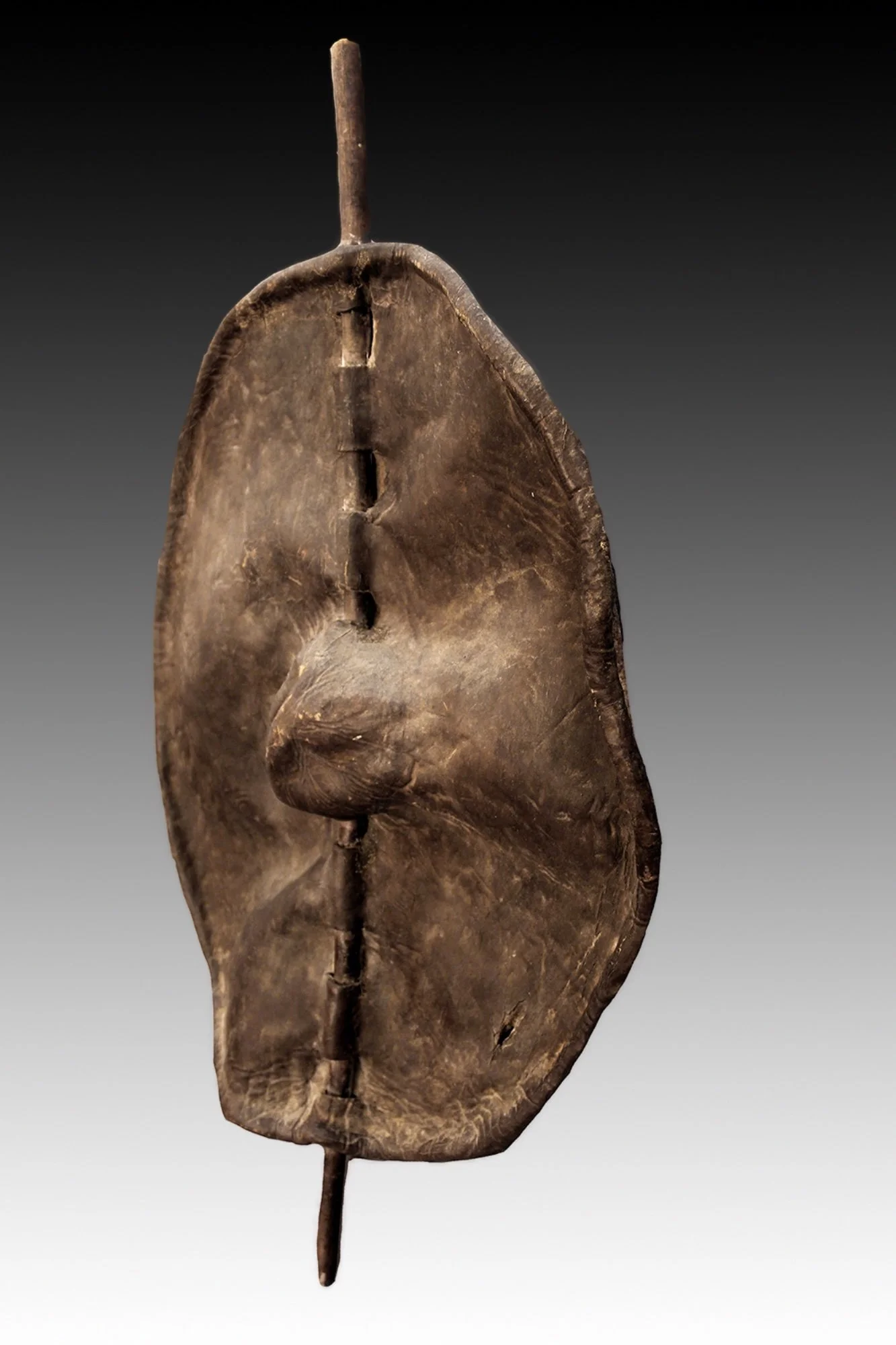 Dinka shield made of buffalo hide with an oval body and raised boss at the center, threaded down the length of a wooden pole.  www.gallerytribalart.com
