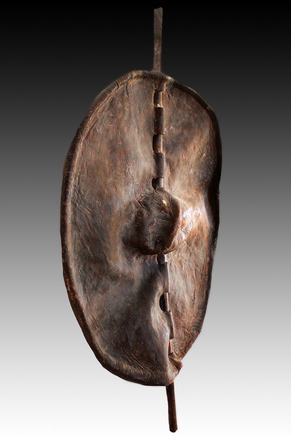 Dinka shield with leather strips used for carrying.  www.gallerytribalart.com