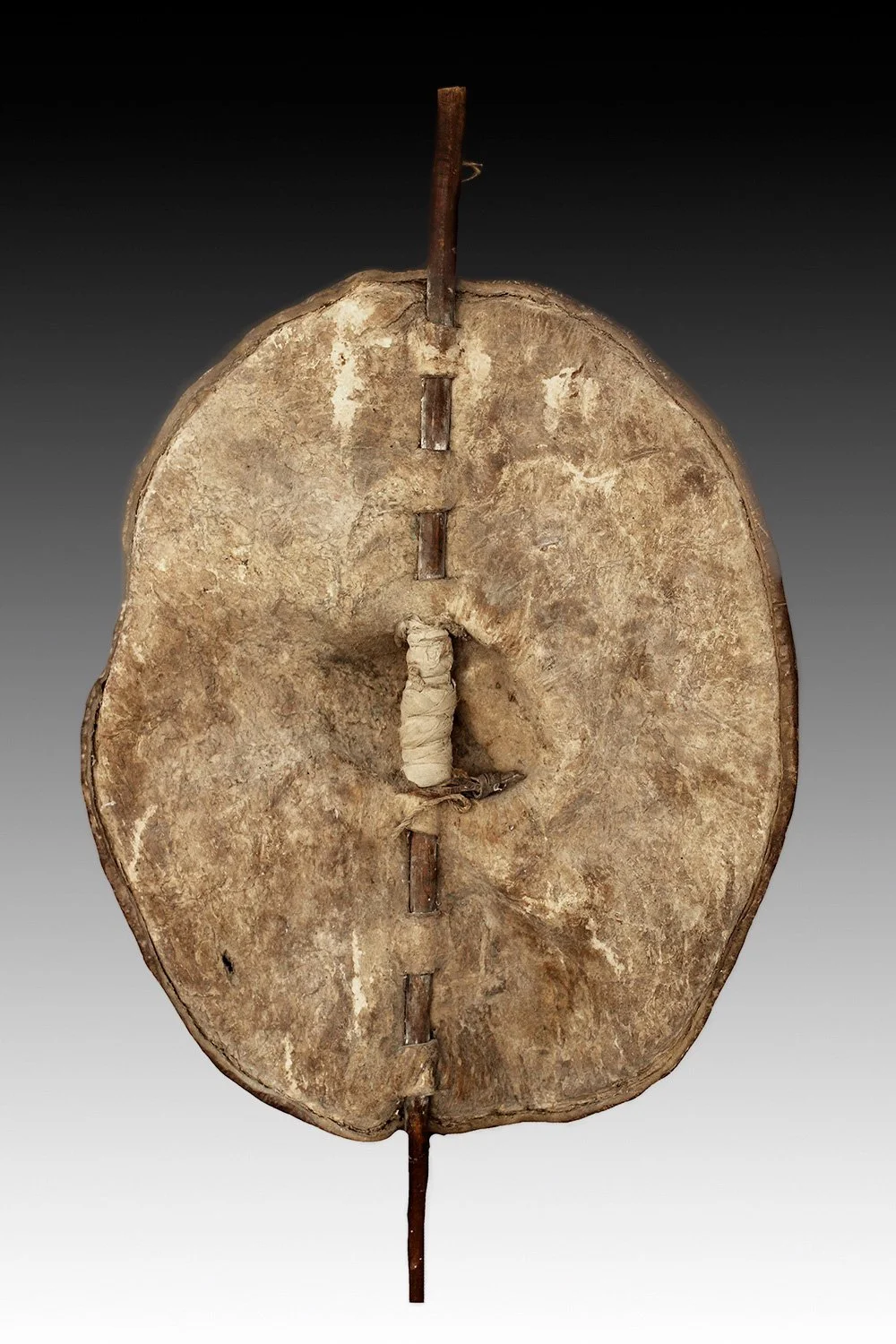 Dinka shield back view has hollow space in the middle for holding.  www.gallerytribalart.com