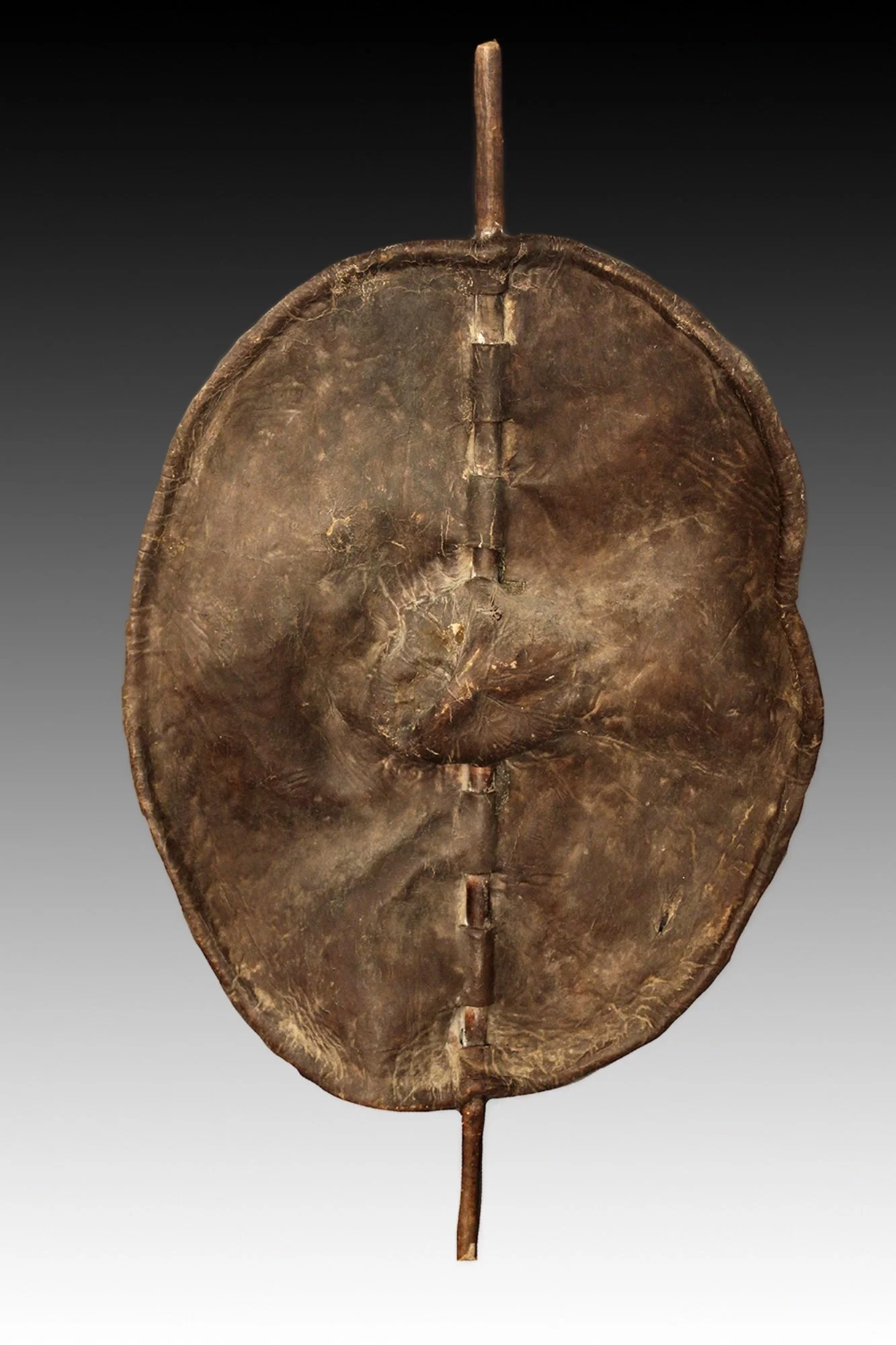 Dinka Shield