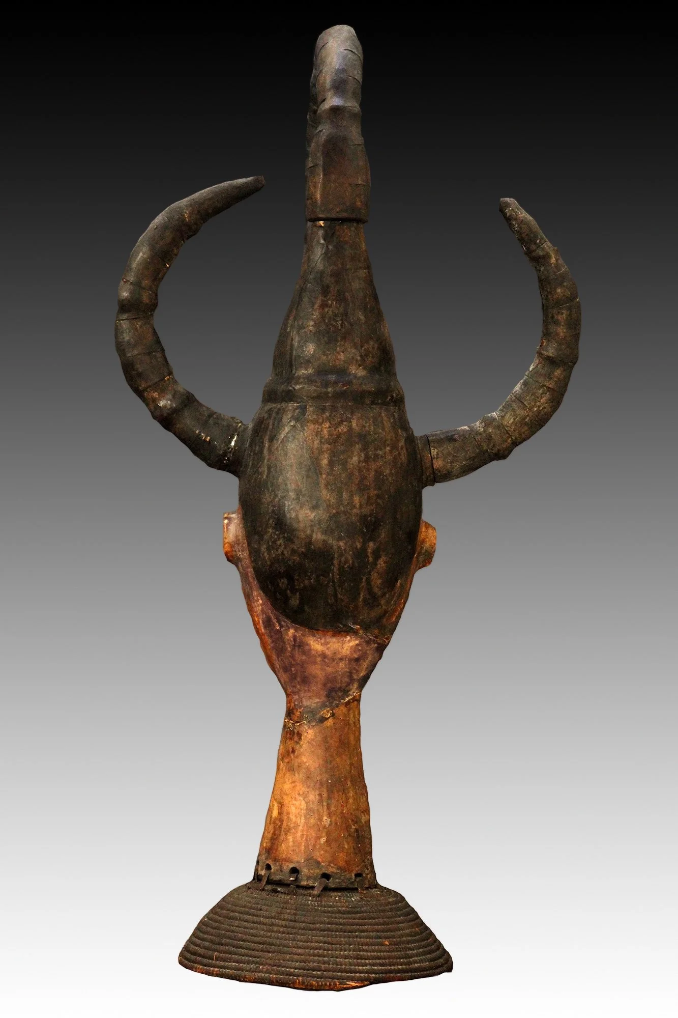 Ejagham or Ekoi mask with elaborate horns.  www.gallerytribalart.com