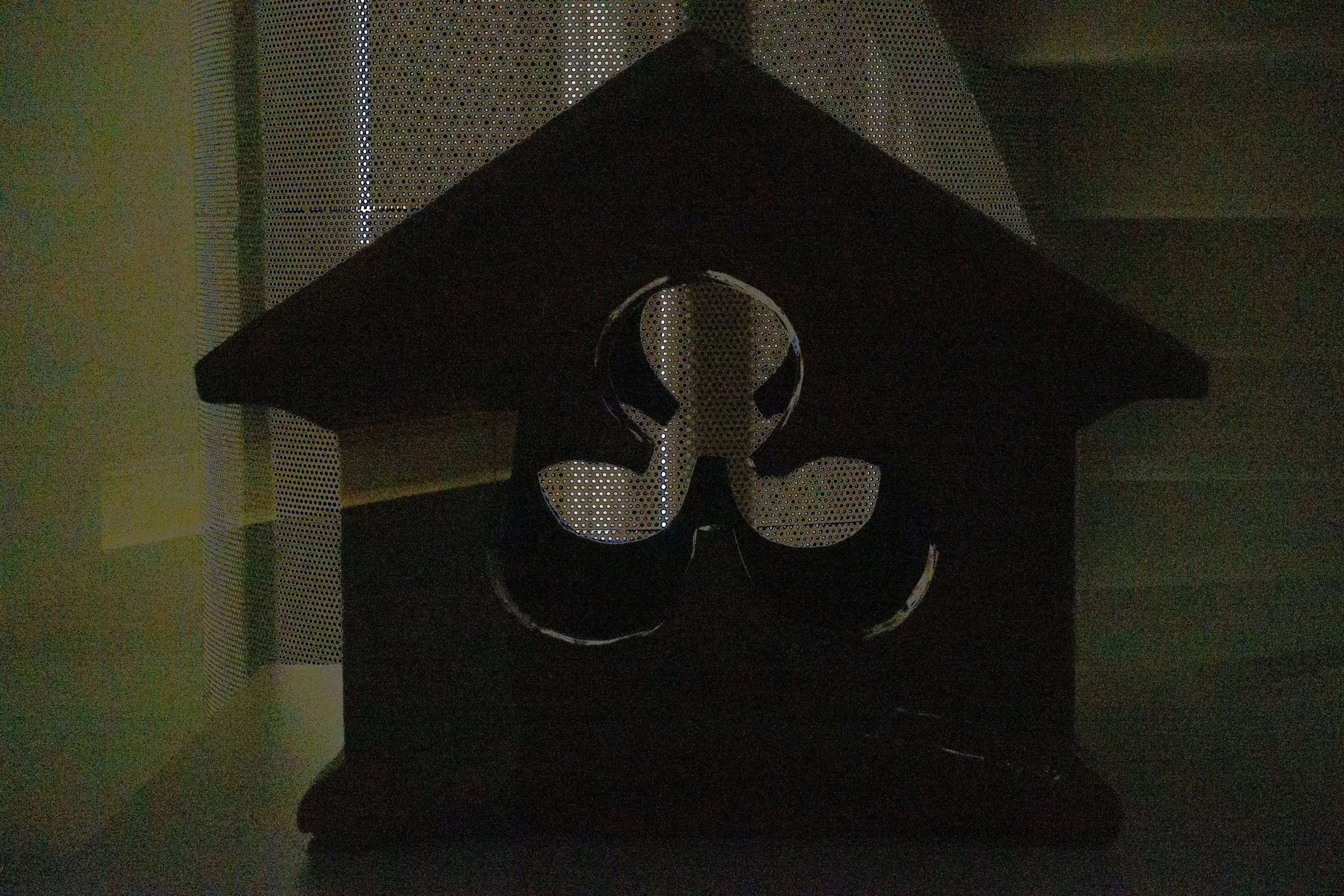 DSC04446.jpg