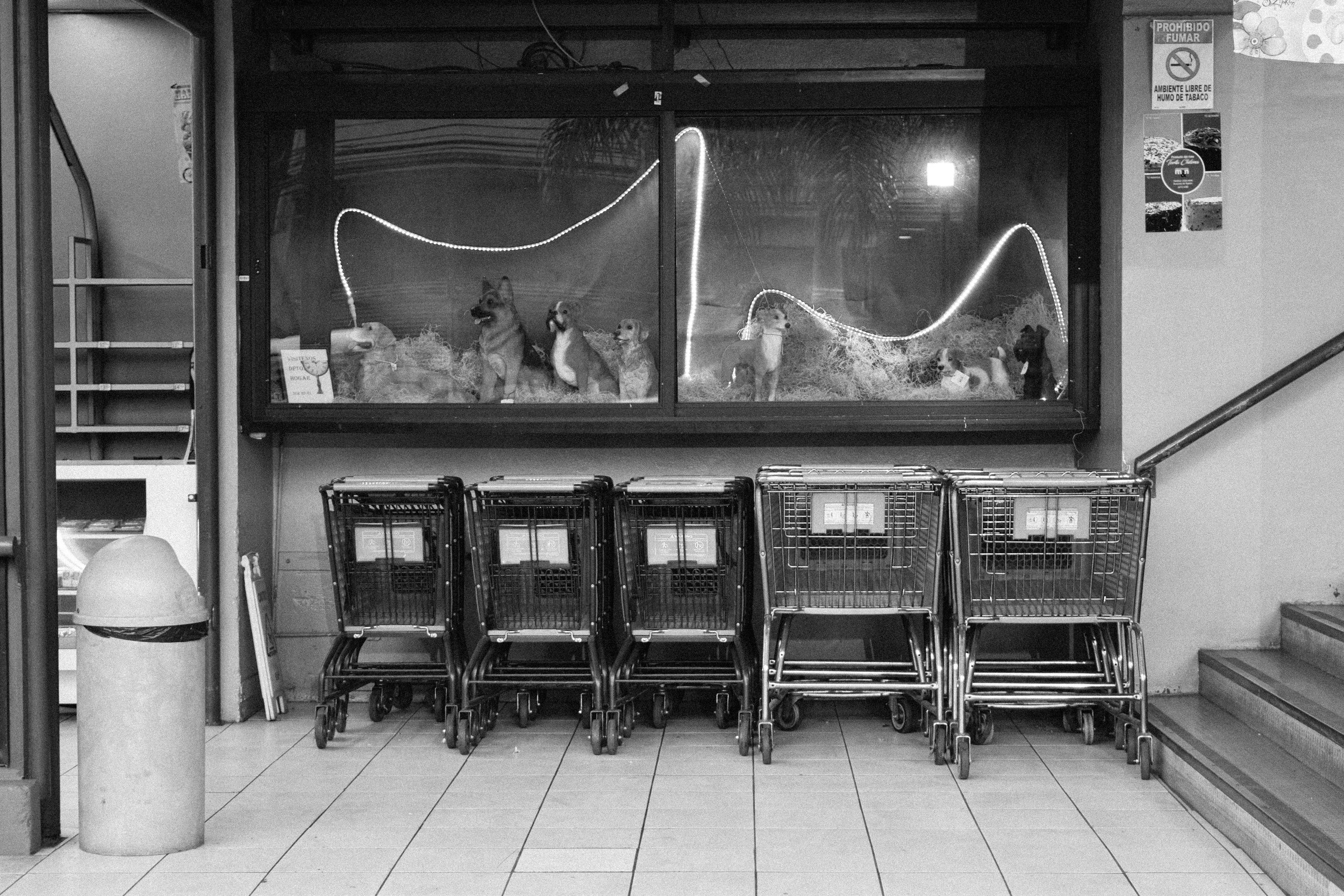 Dog ornaments outside a supermarket in San Pedro.
