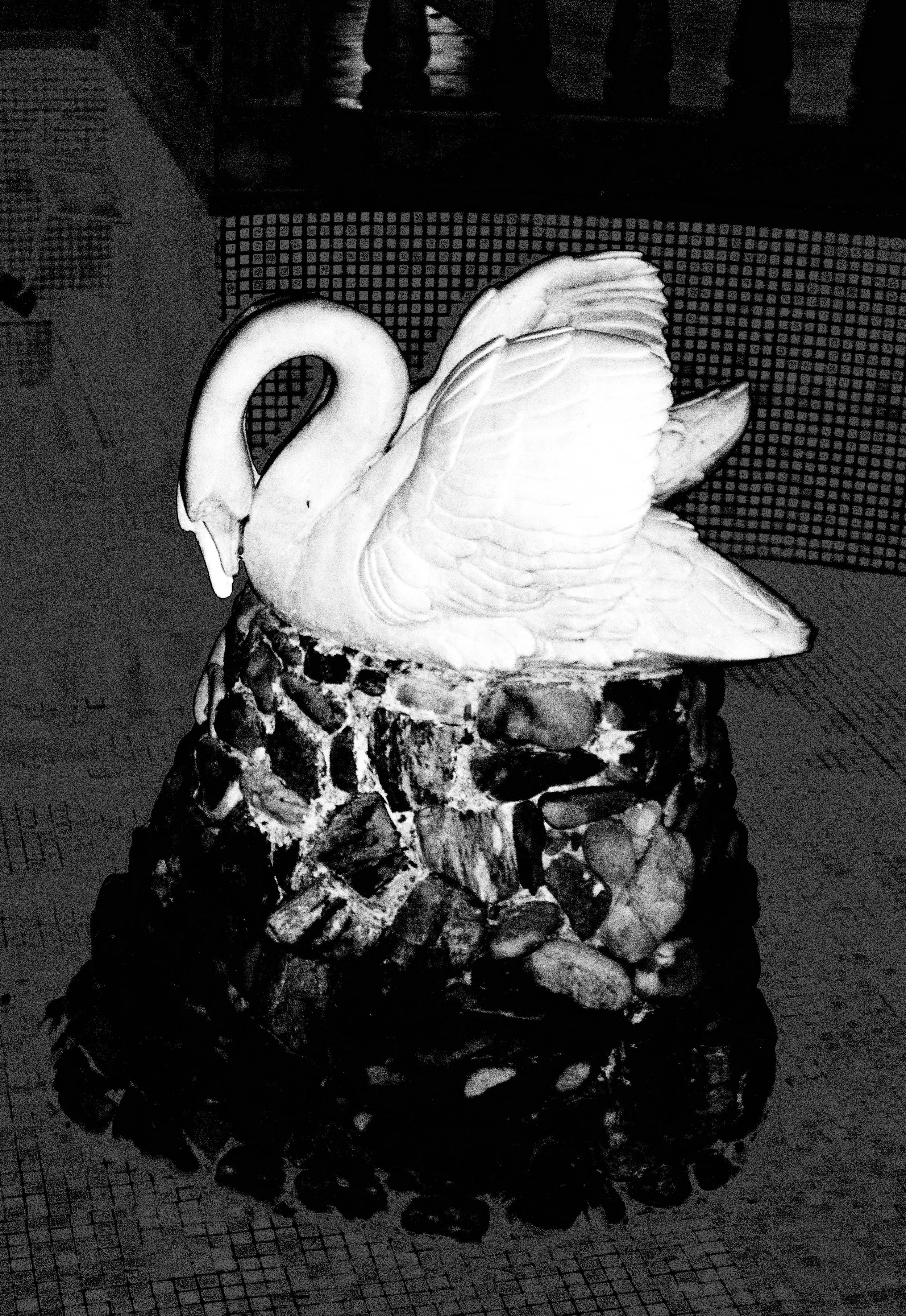DSC03572-2.jpg