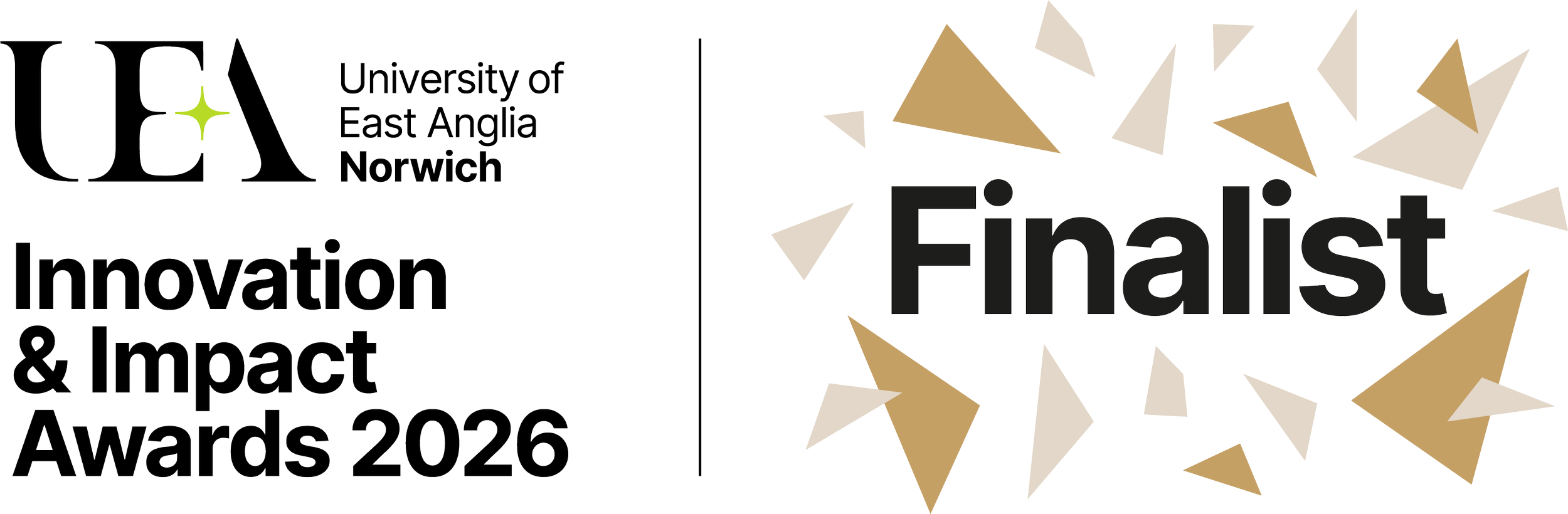 Finalist: Innovation &amp; Impact Awards 2026