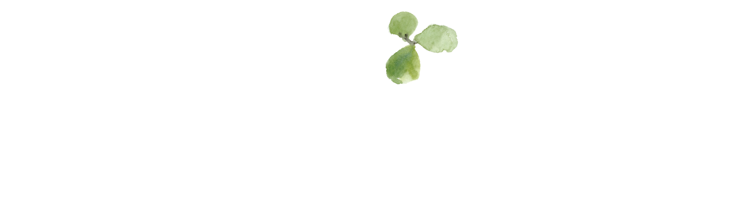 Irish Eyes Photography
