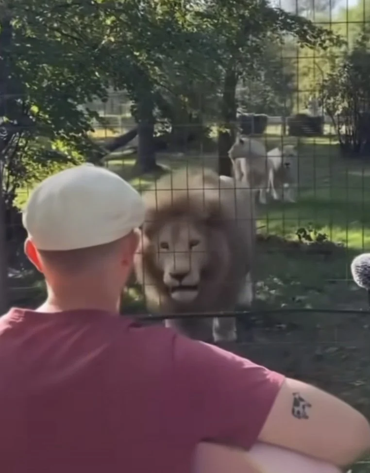 Accepting Paradox in the Silence