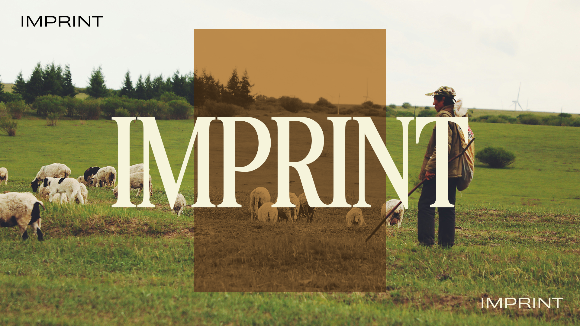 Imprint: Choosing the Way of Heaven in Our Relationships