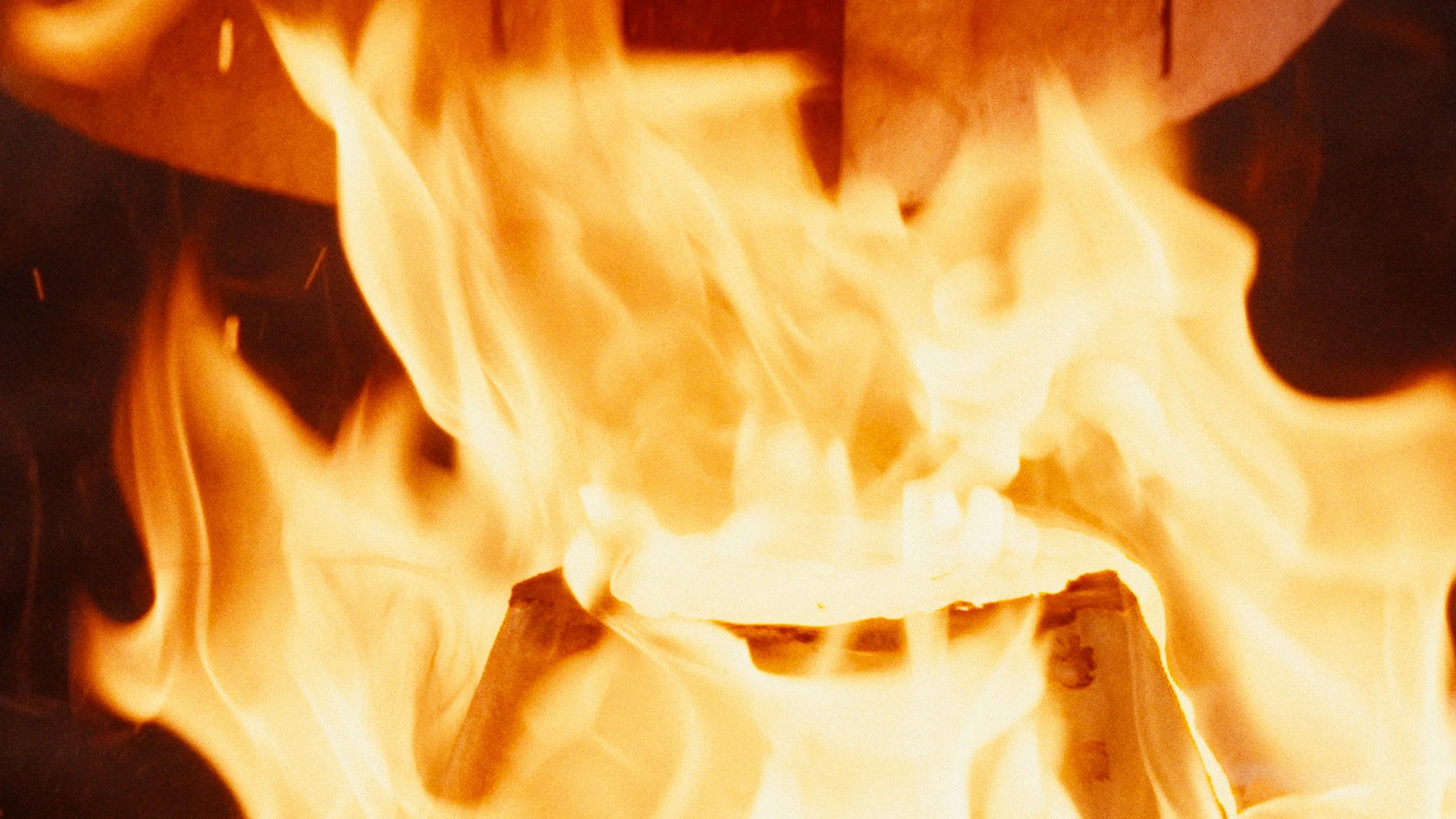 Still 2025-11-04 192620_3.74.1.jpg