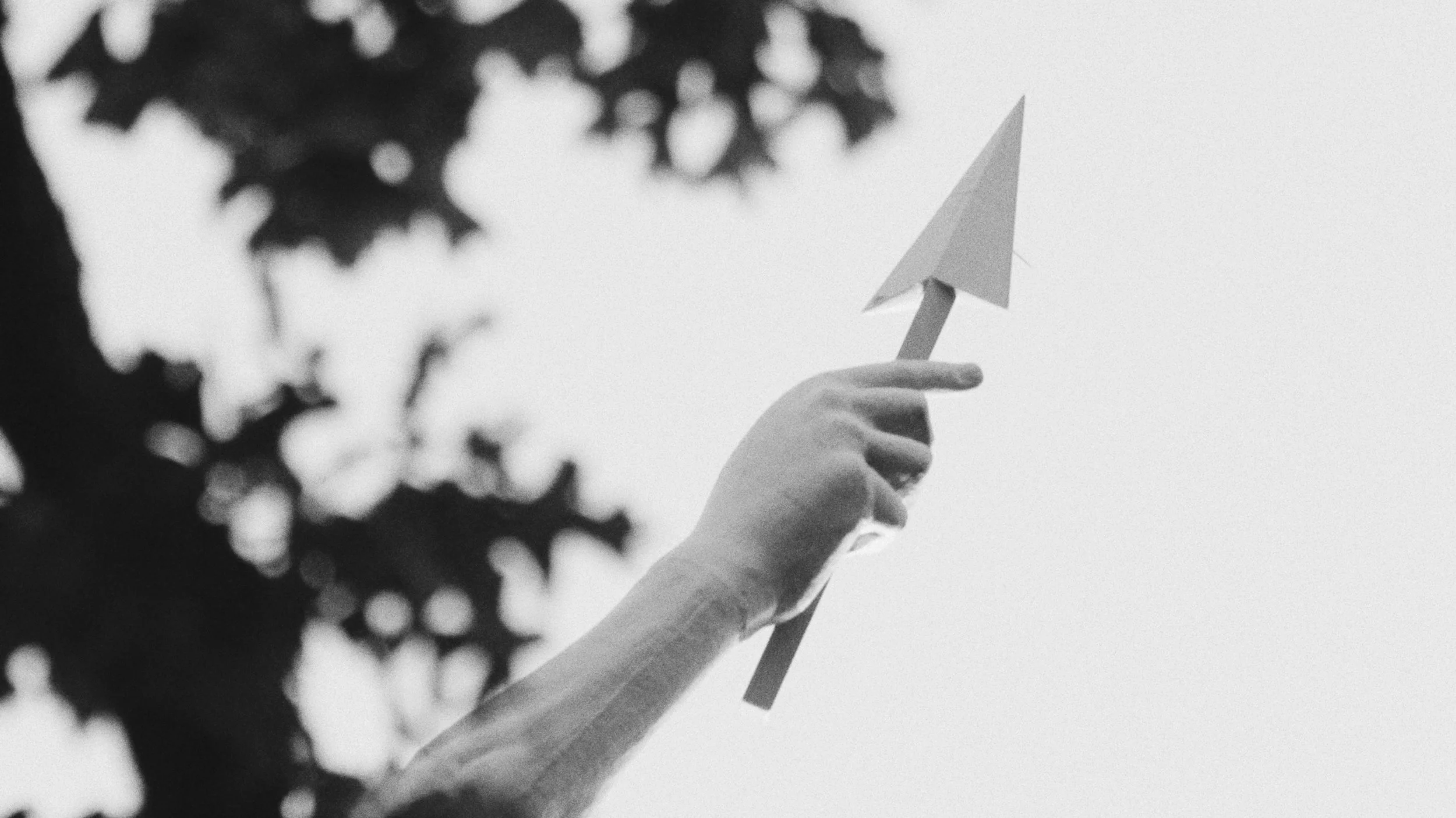 Still 2025-11-04 192620_2.11.1.jpg