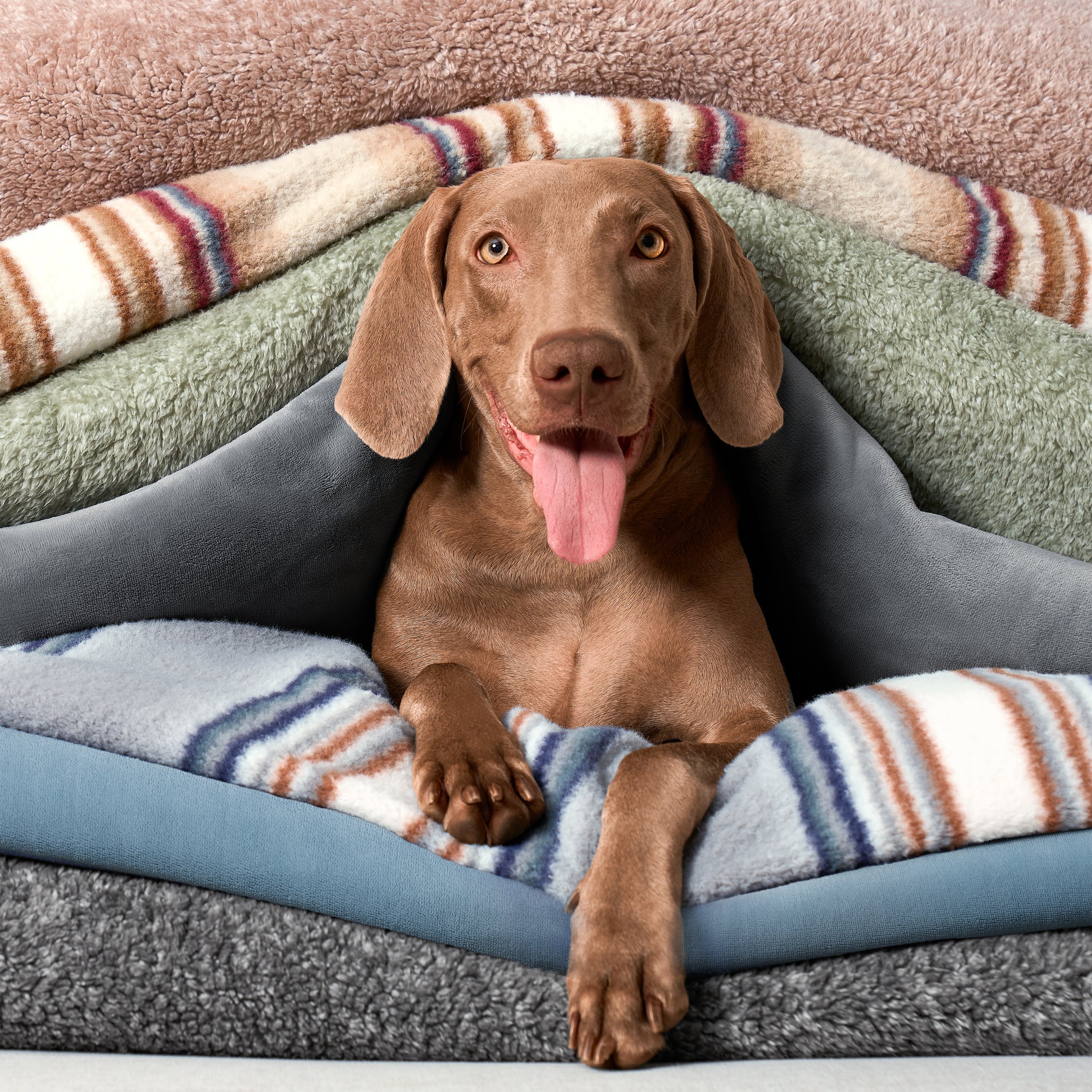 BP_KH_S26_40439_WILDER_THRW_GRY FG_CLCTN 3.jpg