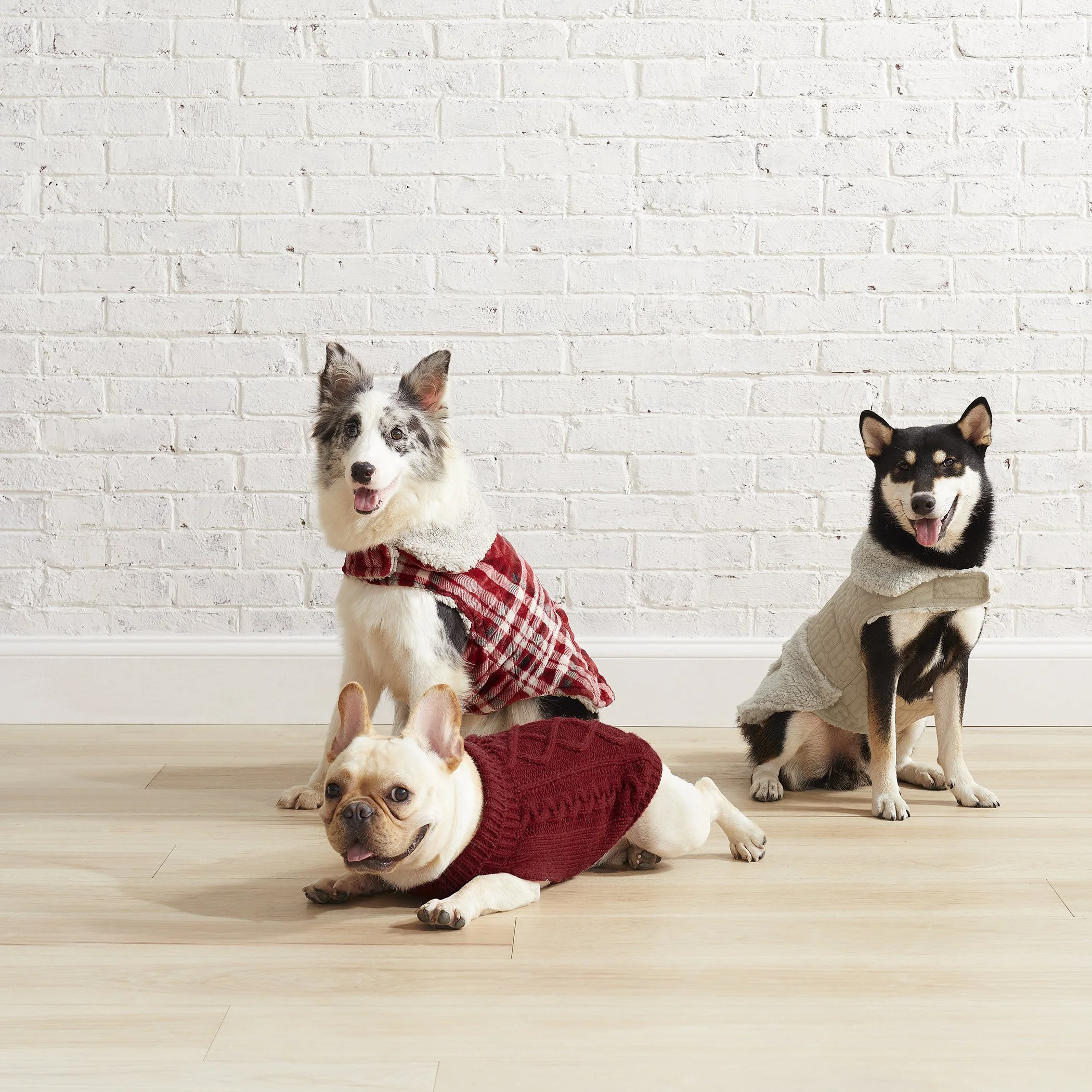 UGG_BBB_F21 Pet_Pet Apparel_Multi_Group Collection_Web Alt6_RGB5.jpg