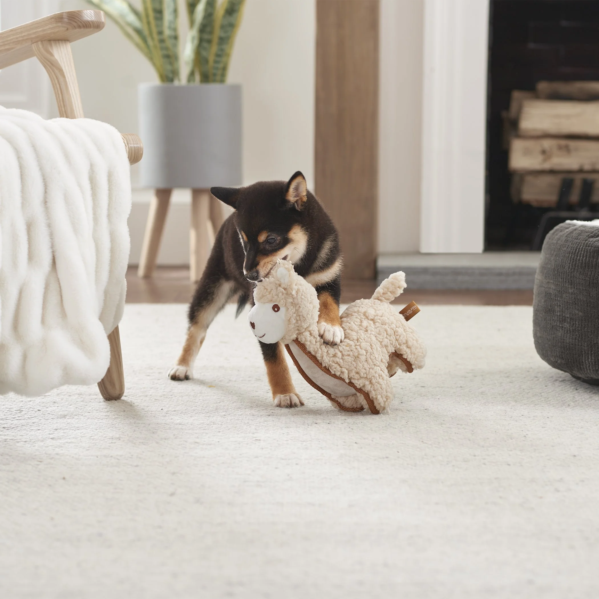 KB PT_KH_F23_LLAMA_PT TOY_BRCH_Web 2.jpg