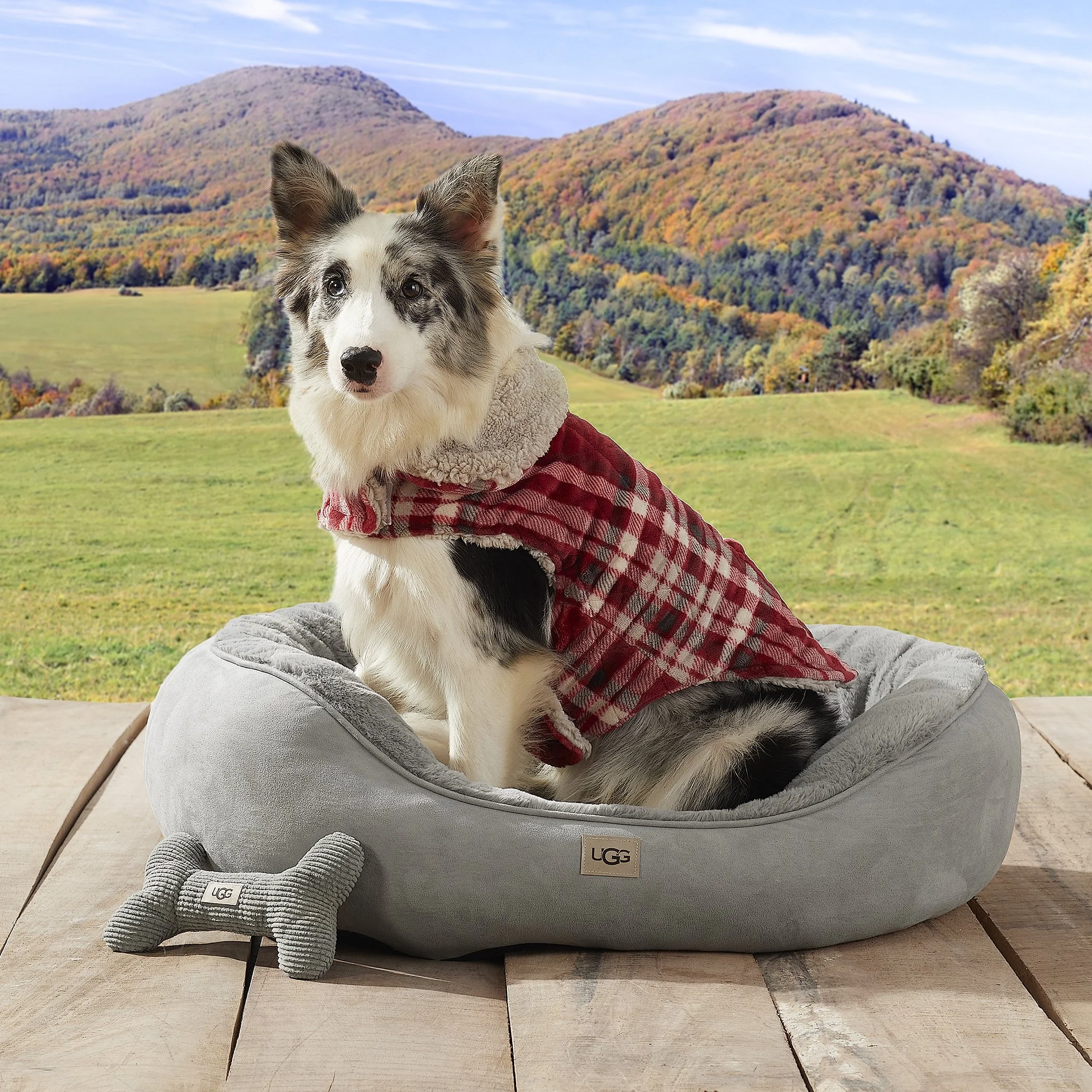 UGG_BBB_F21 Pet_Polar Cuddler_Seal Grey_Pet Bed_Outdoor_Web Alt2b_RGB.jpg