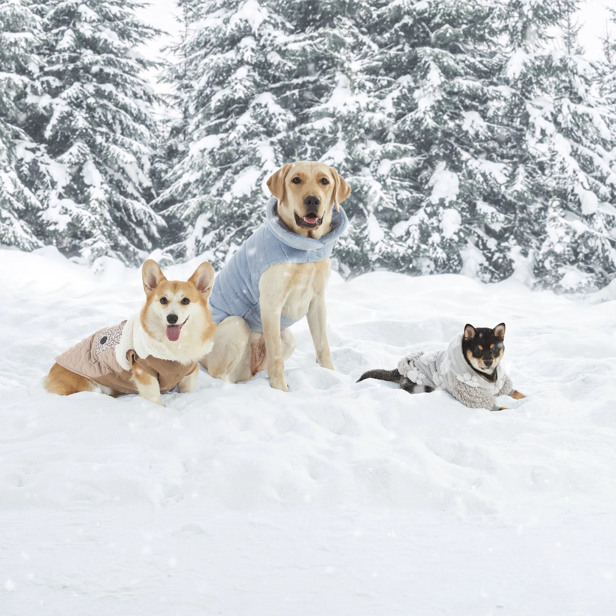 KB PT_KH_F23_Collection Shot 2A.jpg