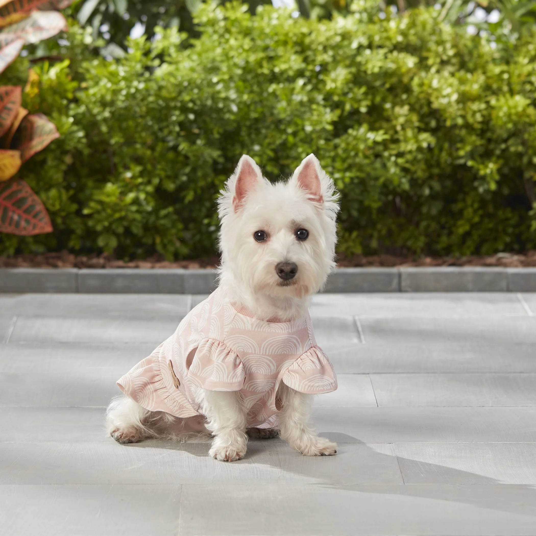 KB PT_KH_S23_PRINTED SHIRT DRESS_APPAREL_APRICOT_PKG 1.jpg