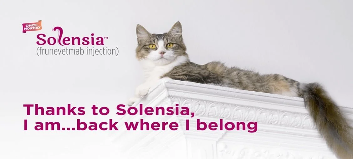 Solensia for Cats